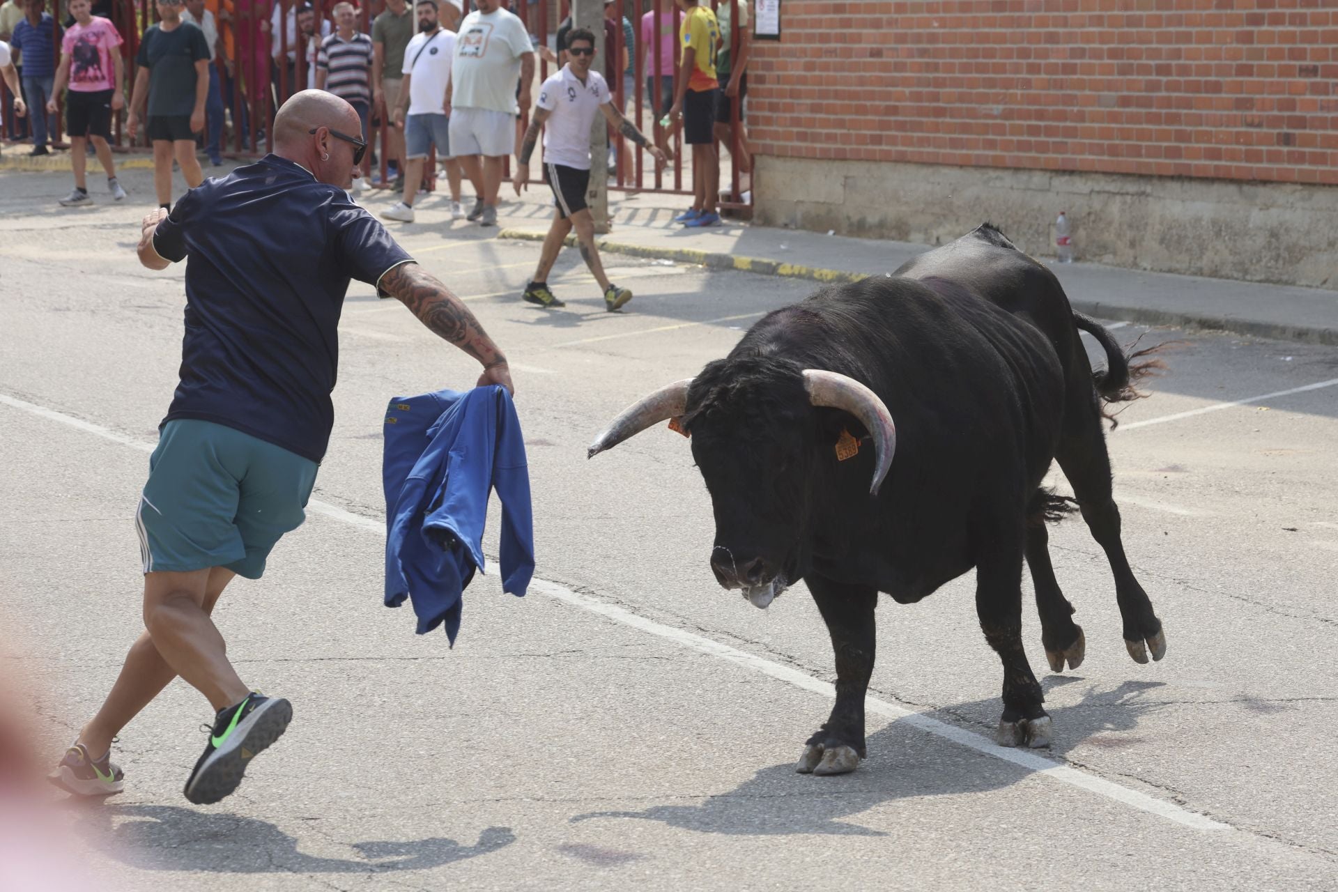 Encierro del domingo en las fiestas de Rueda