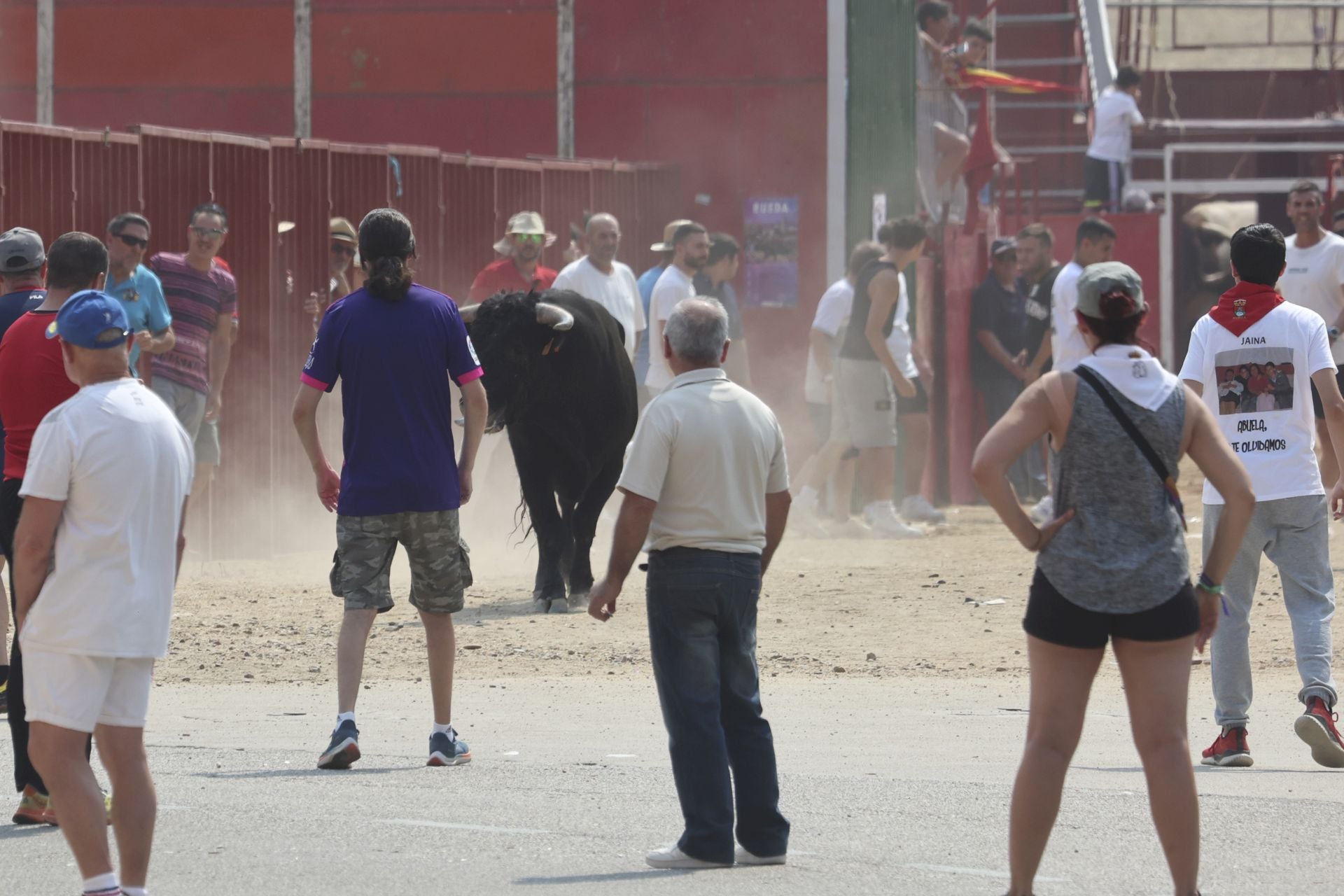 Encierro del domingo en las fiestas de Rueda