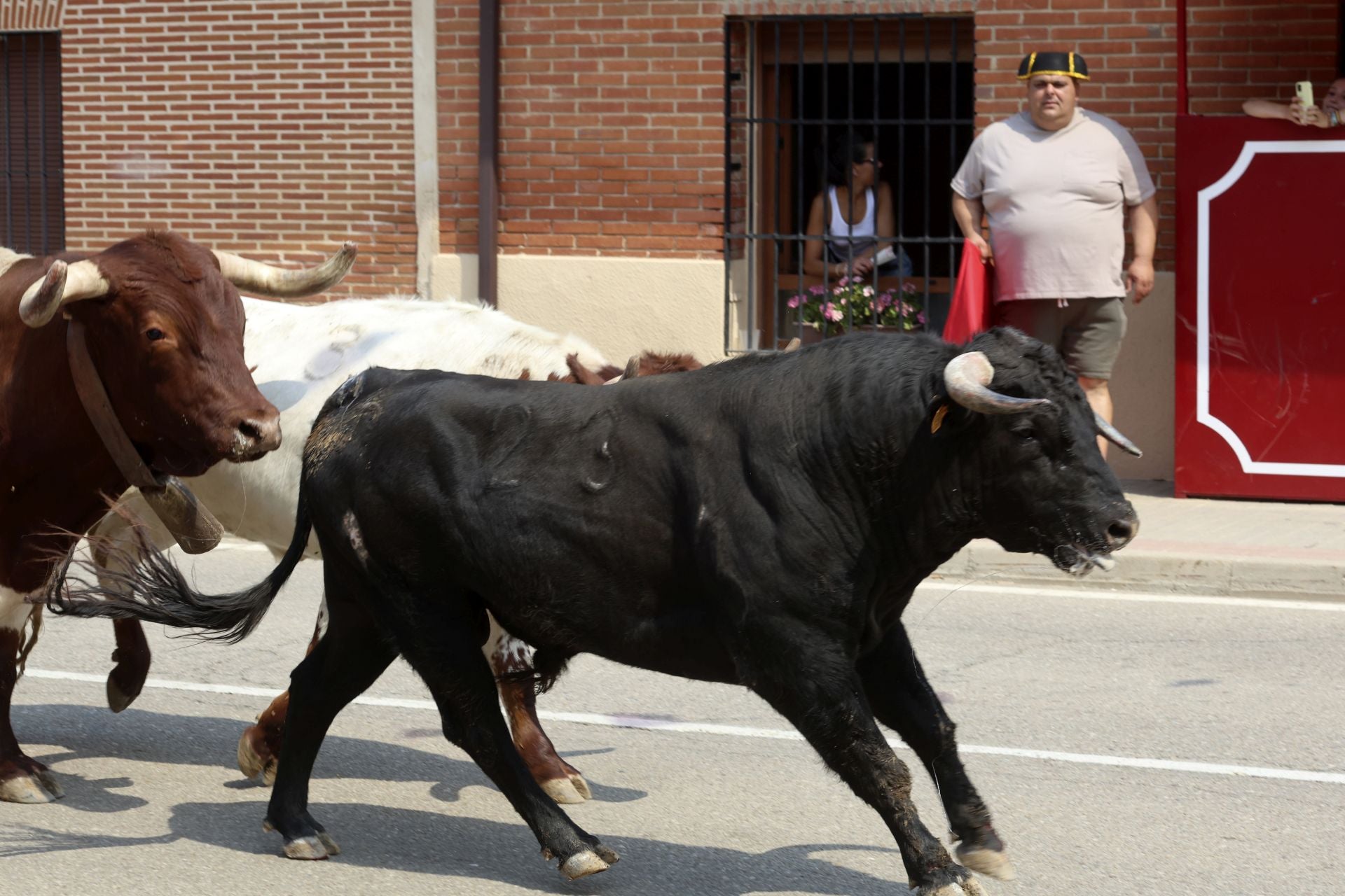 Encierro del domingo en las fiestas de Rueda