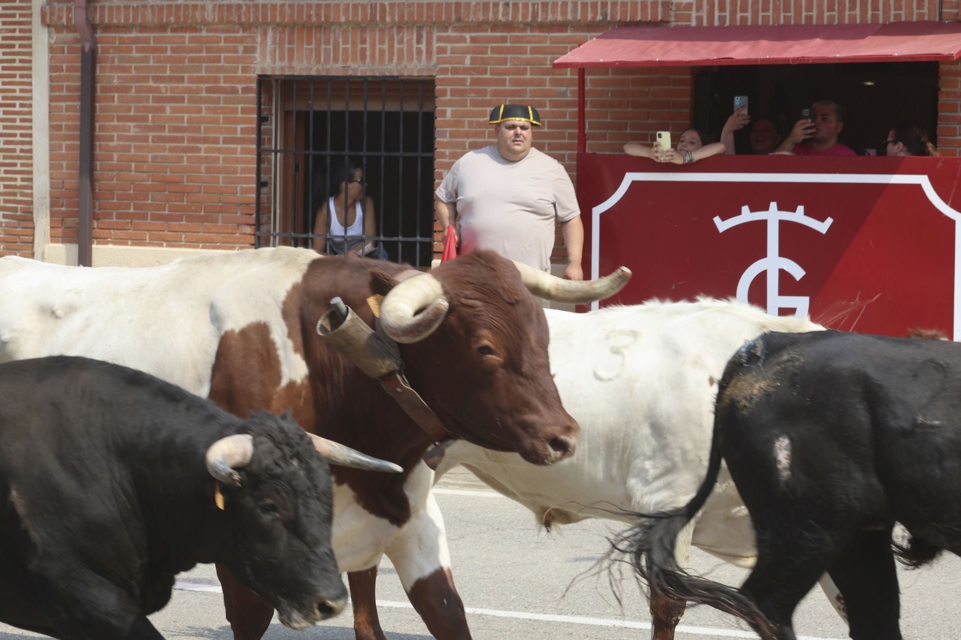 Encierro del domingo en las fiestas de Rueda