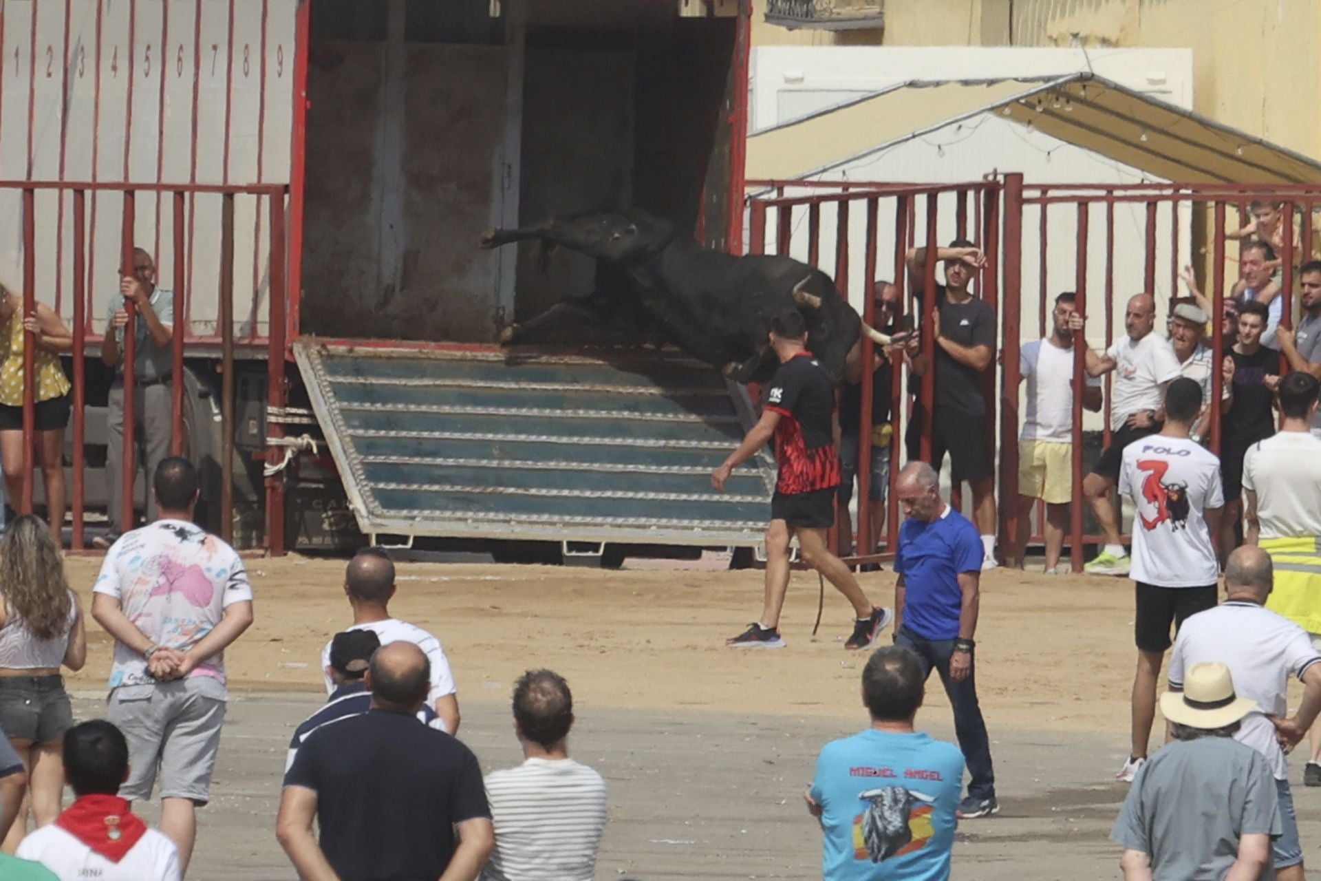 Encierro del domingo en las fiestas de Rueda