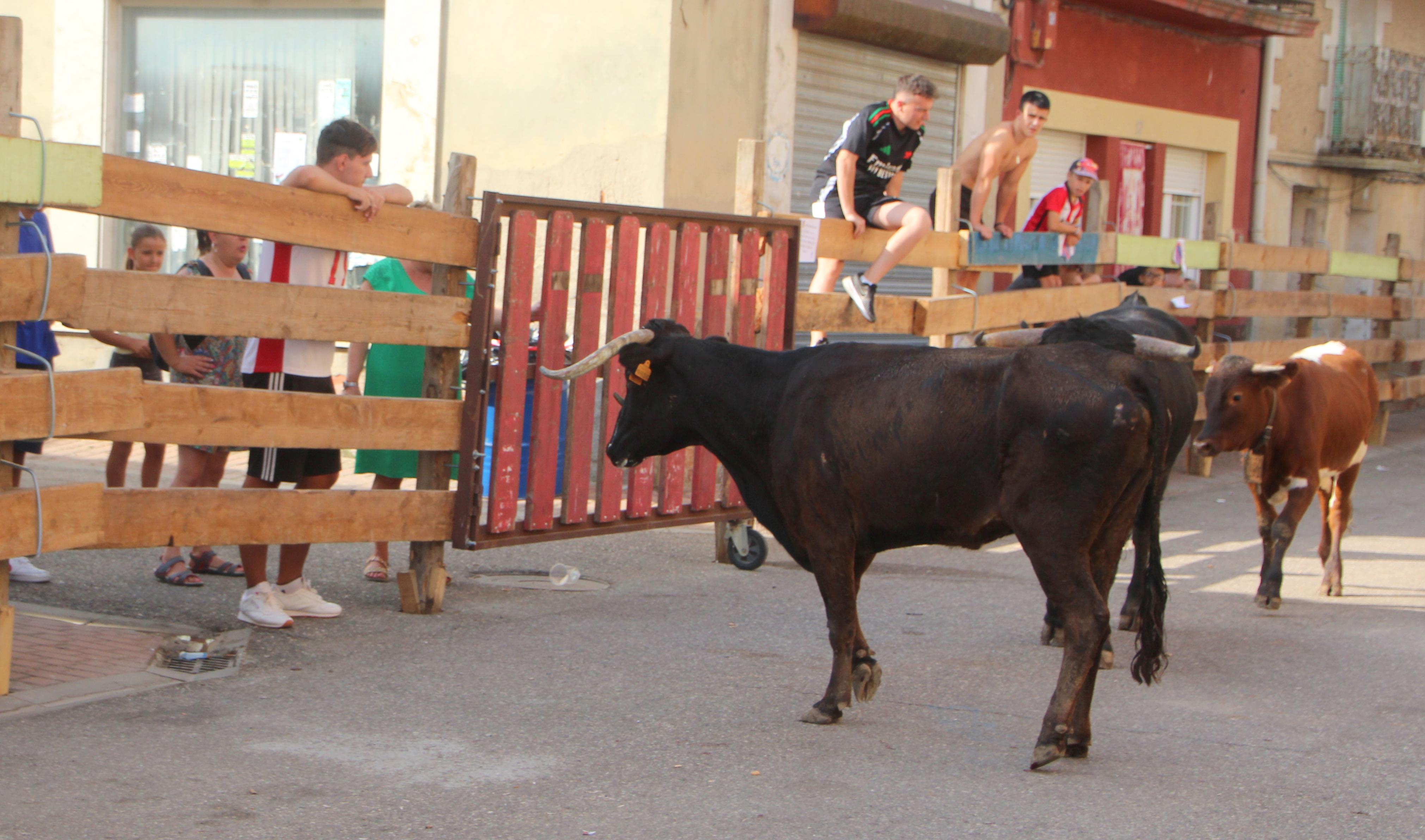Torquemada disfruta de los Encierros