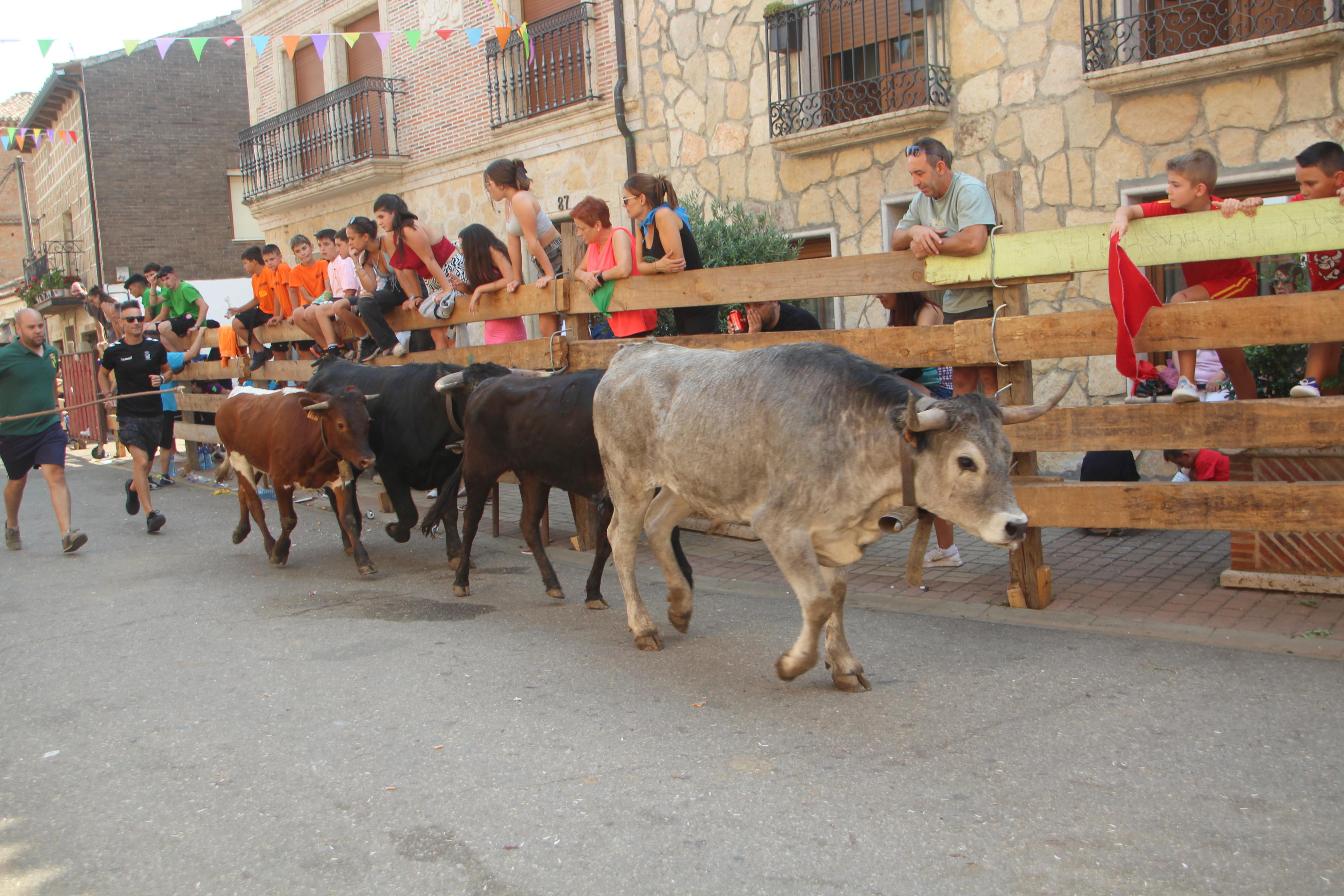 Torquemada disfruta de los Encierros