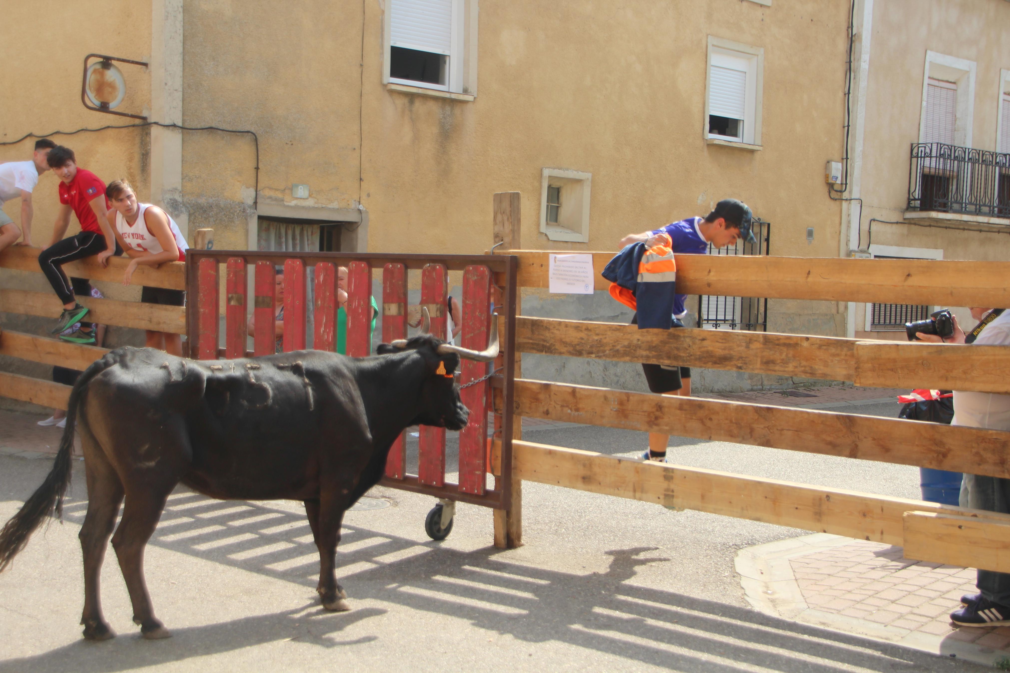 Torquemada disfruta de los Encierros