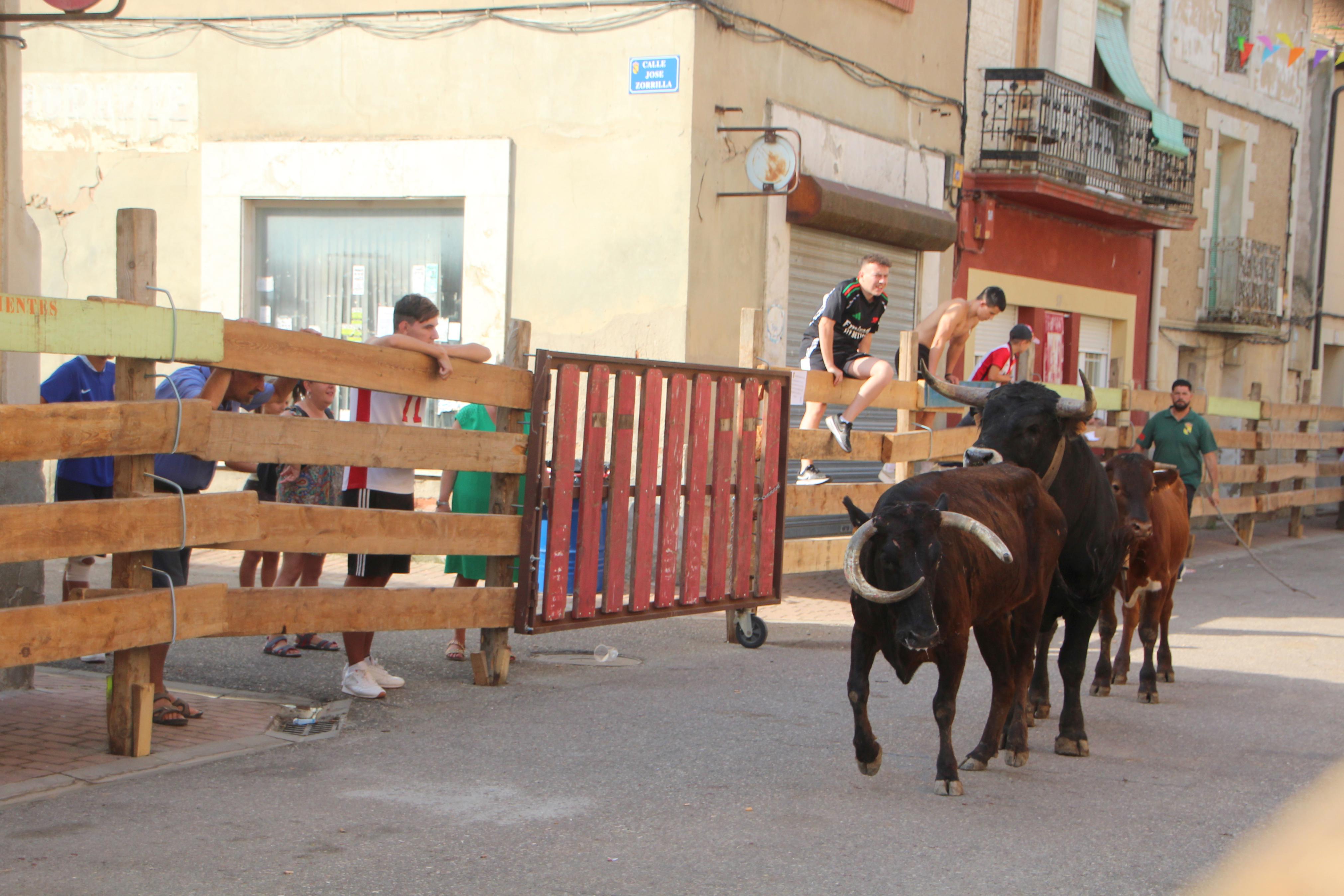 Torquemada disfruta de los Encierros