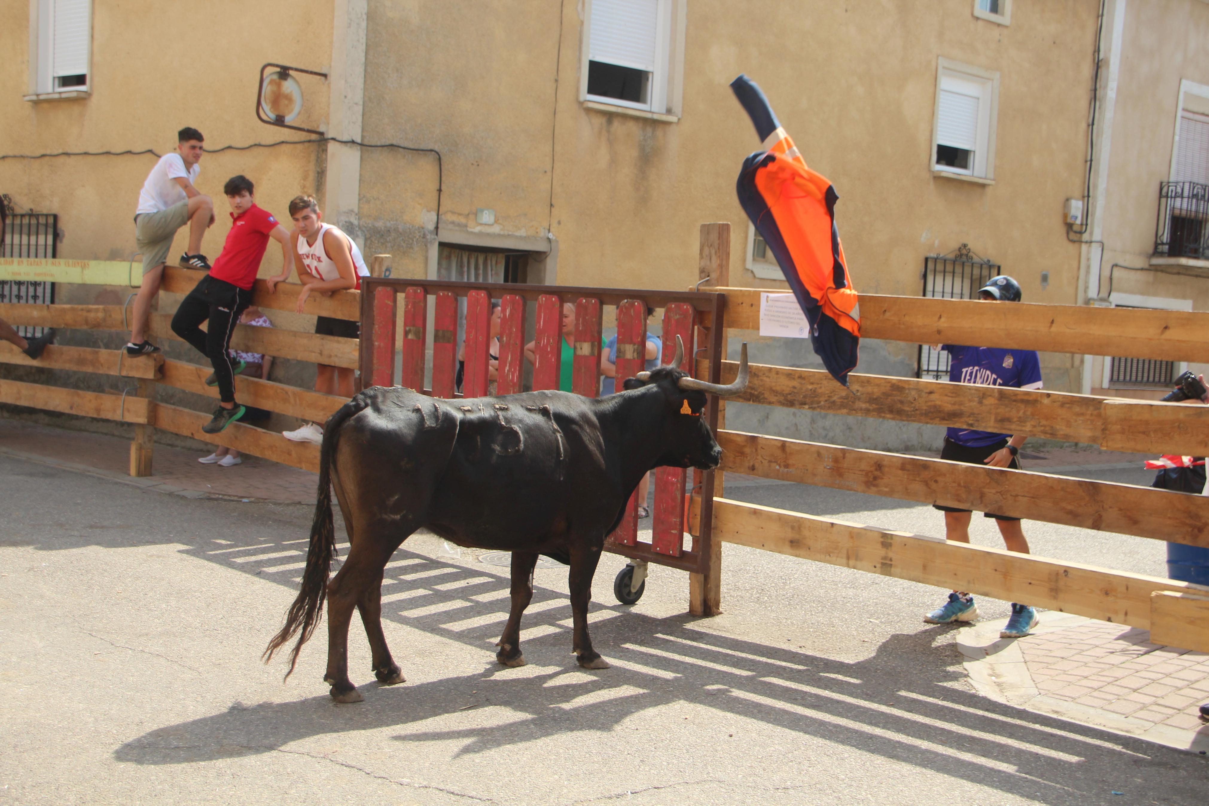 Torquemada disfruta de los Encierros