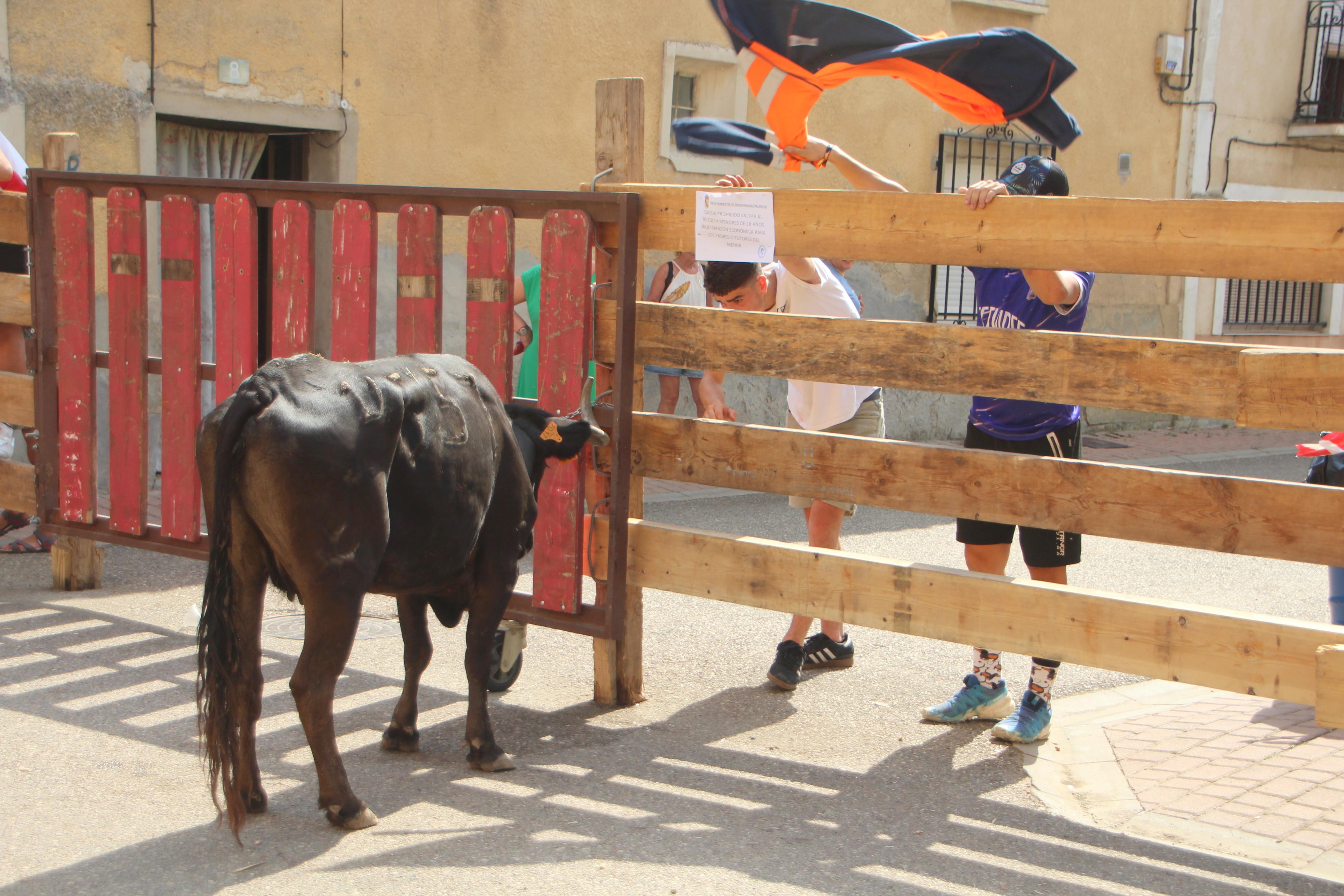 Torquemada disfruta de los Encierros