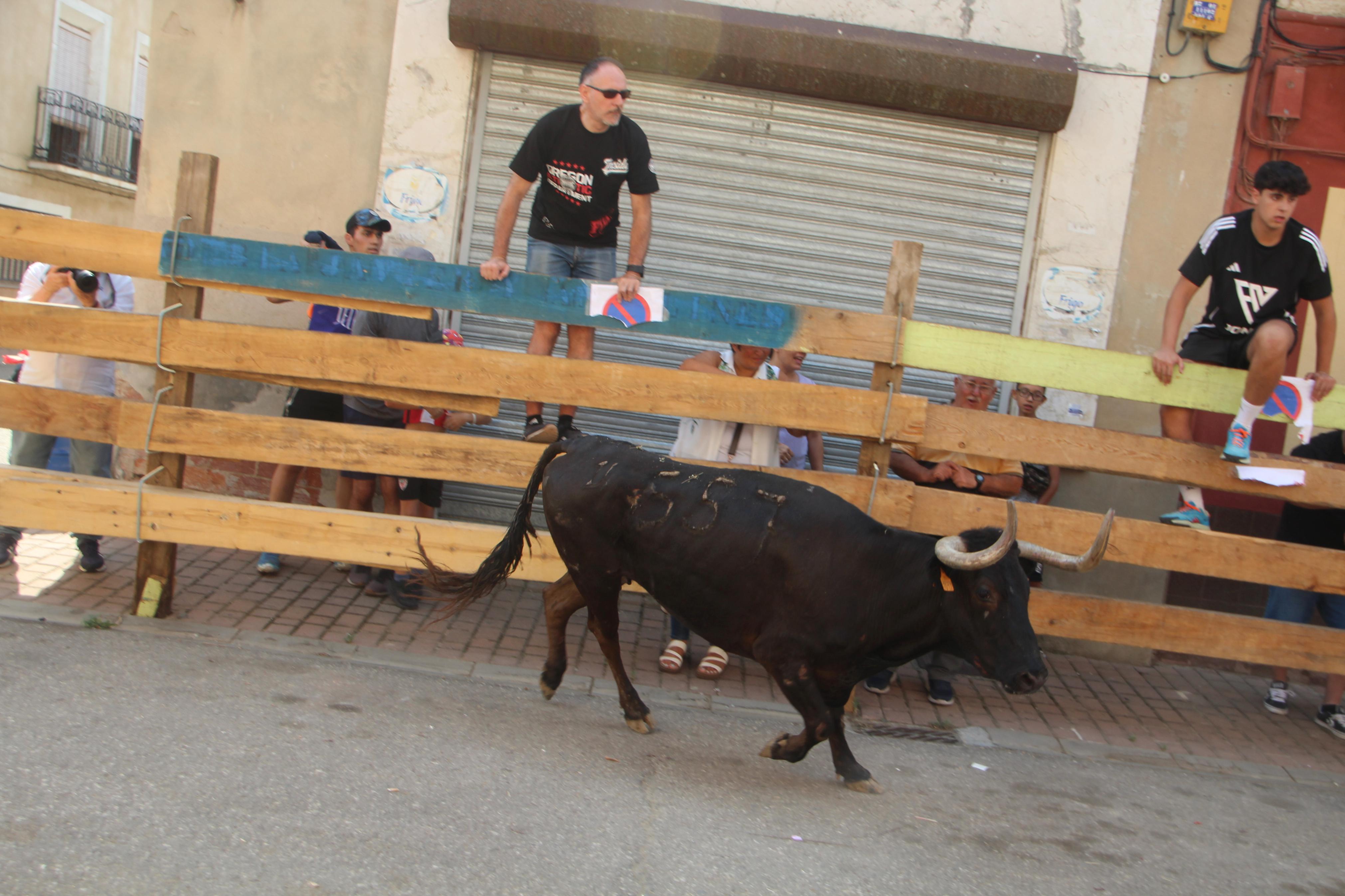 Torquemada disfruta de los Encierros