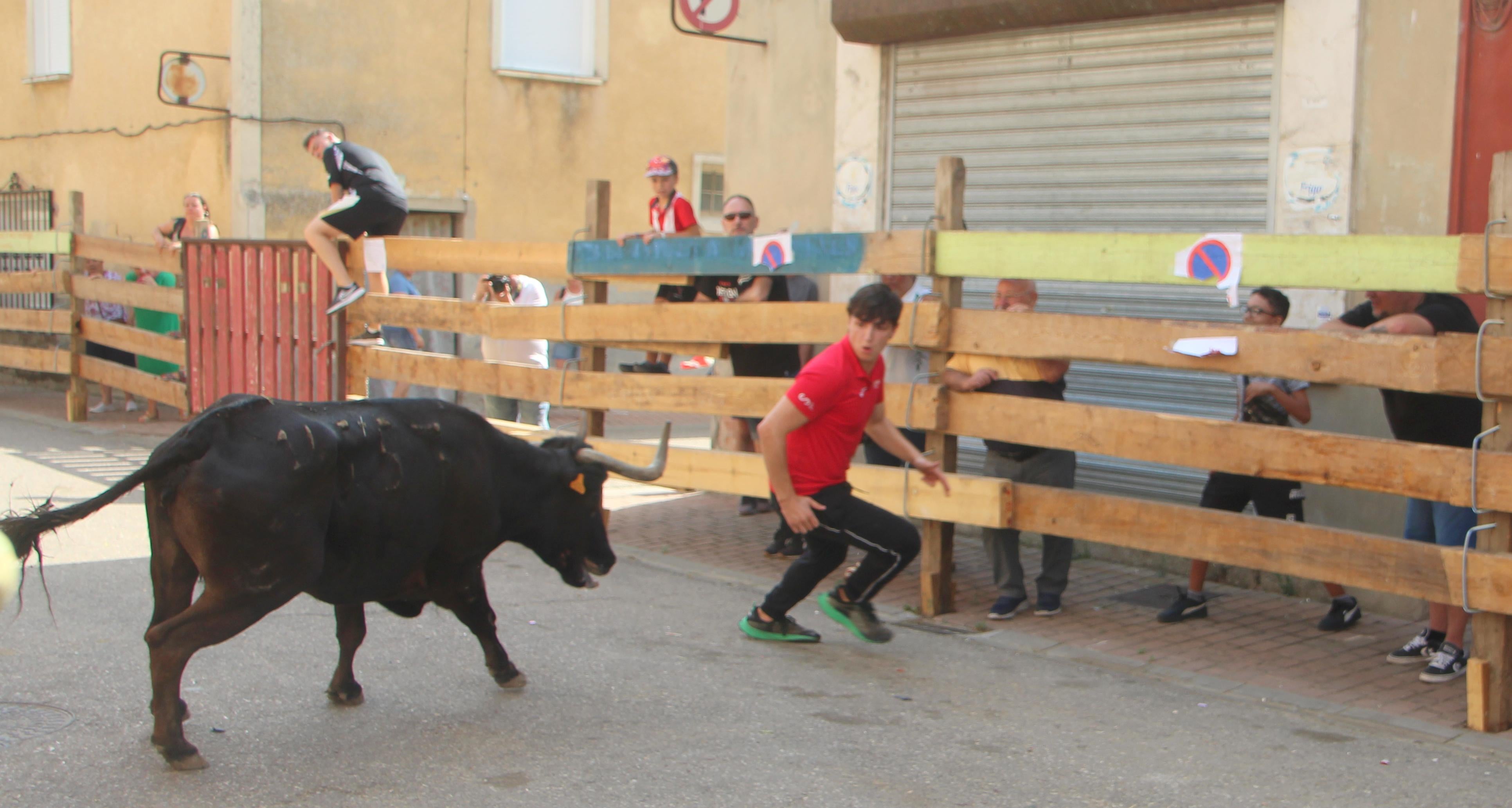 Torquemada disfruta de los Encierros