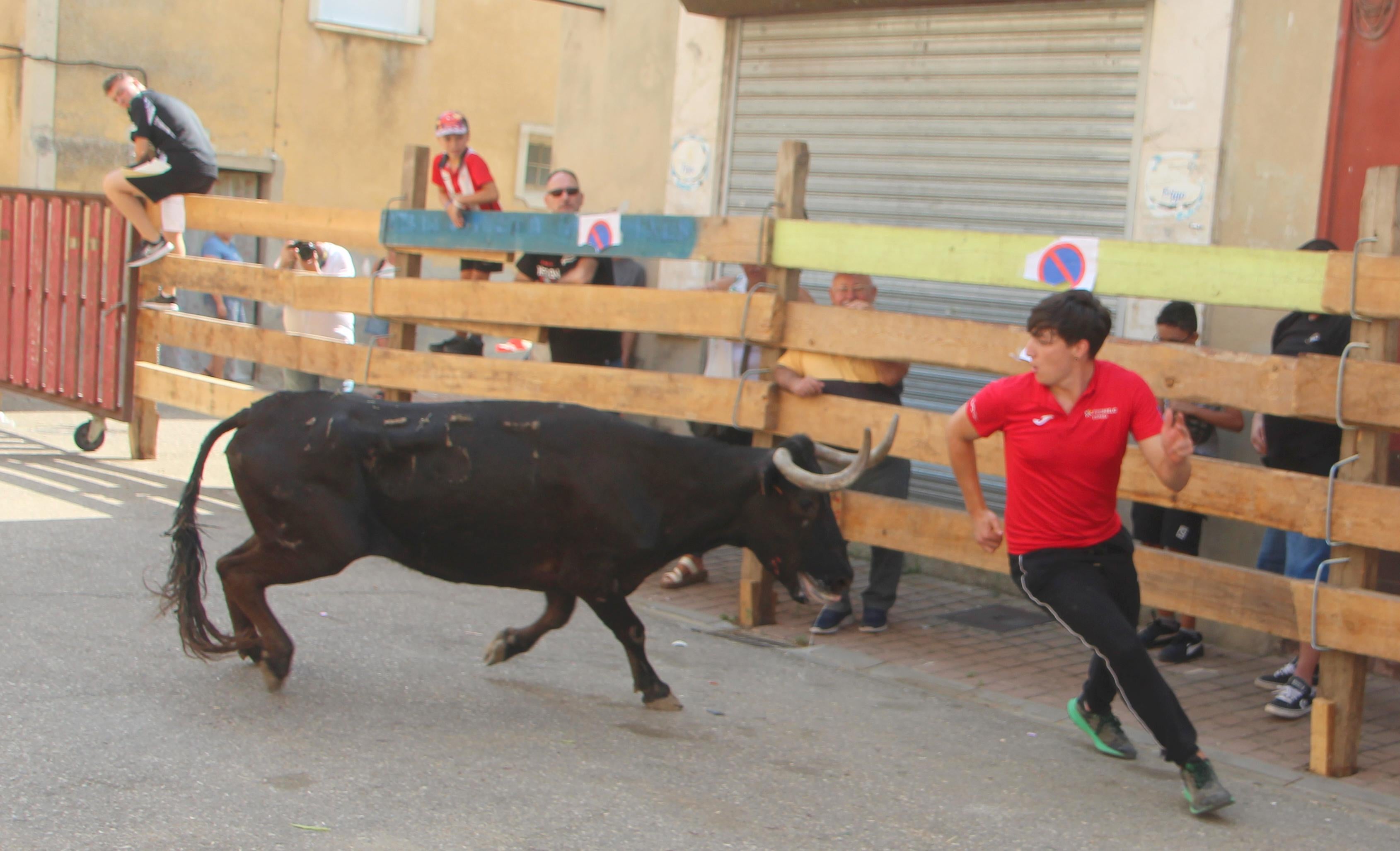 Torquemada disfruta de los Encierros