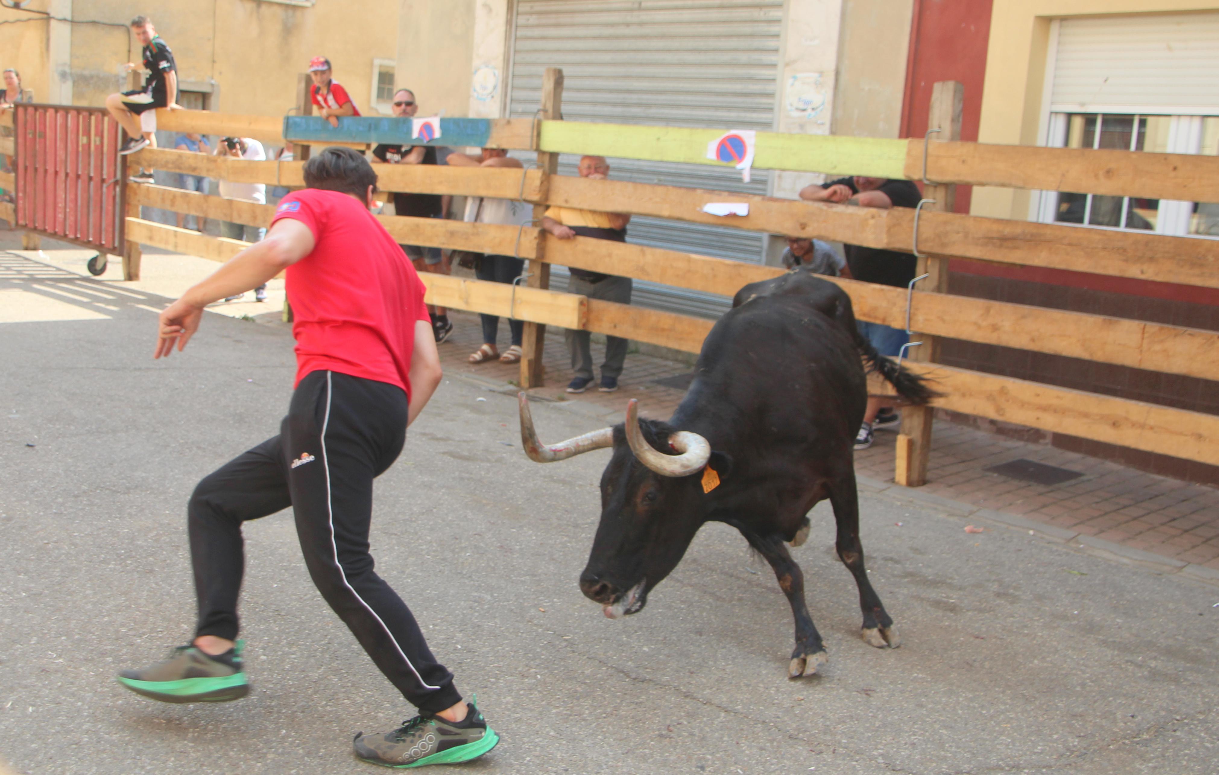 Torquemada disfruta de los Encierros