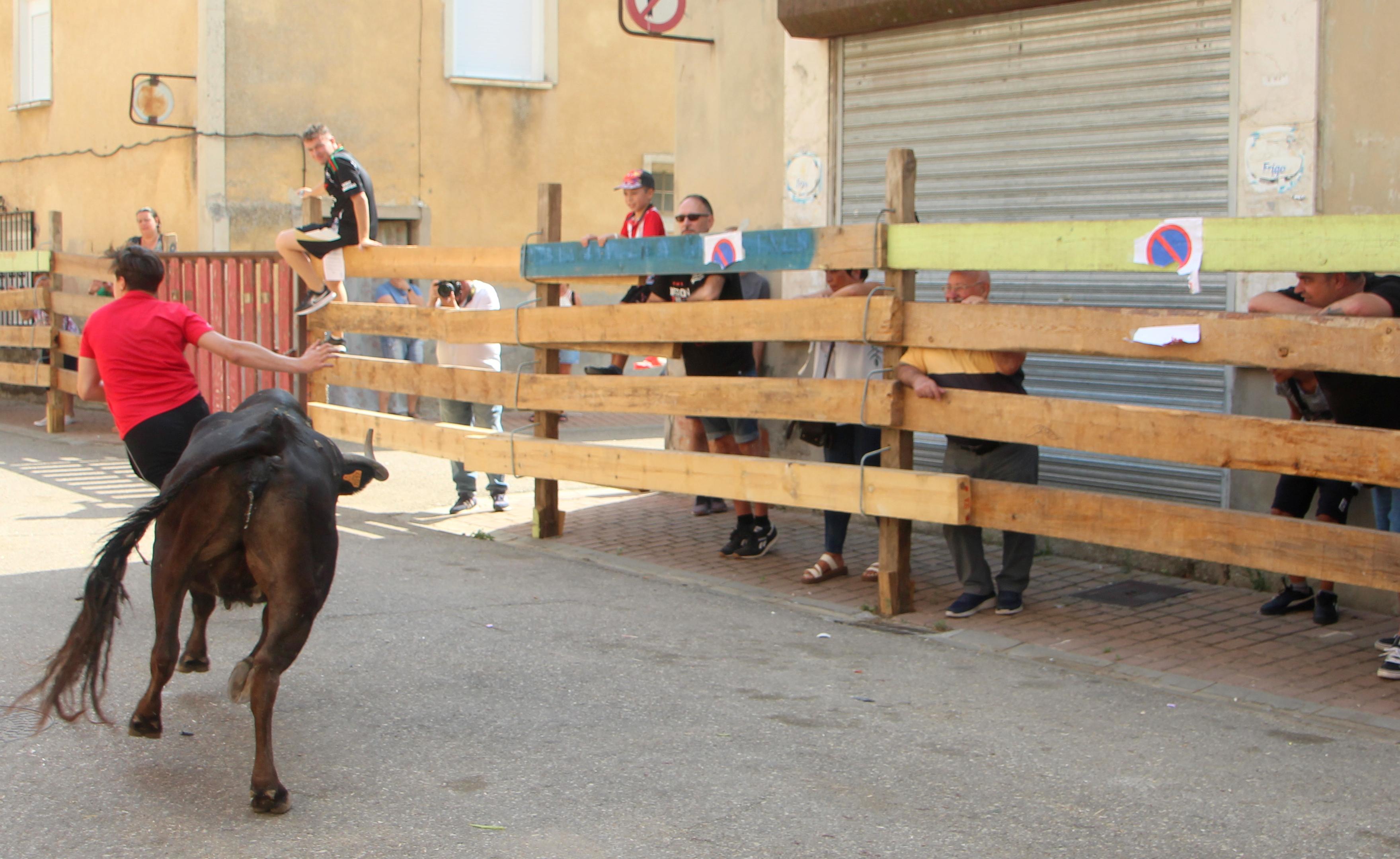 Torquemada disfruta de los Encierros