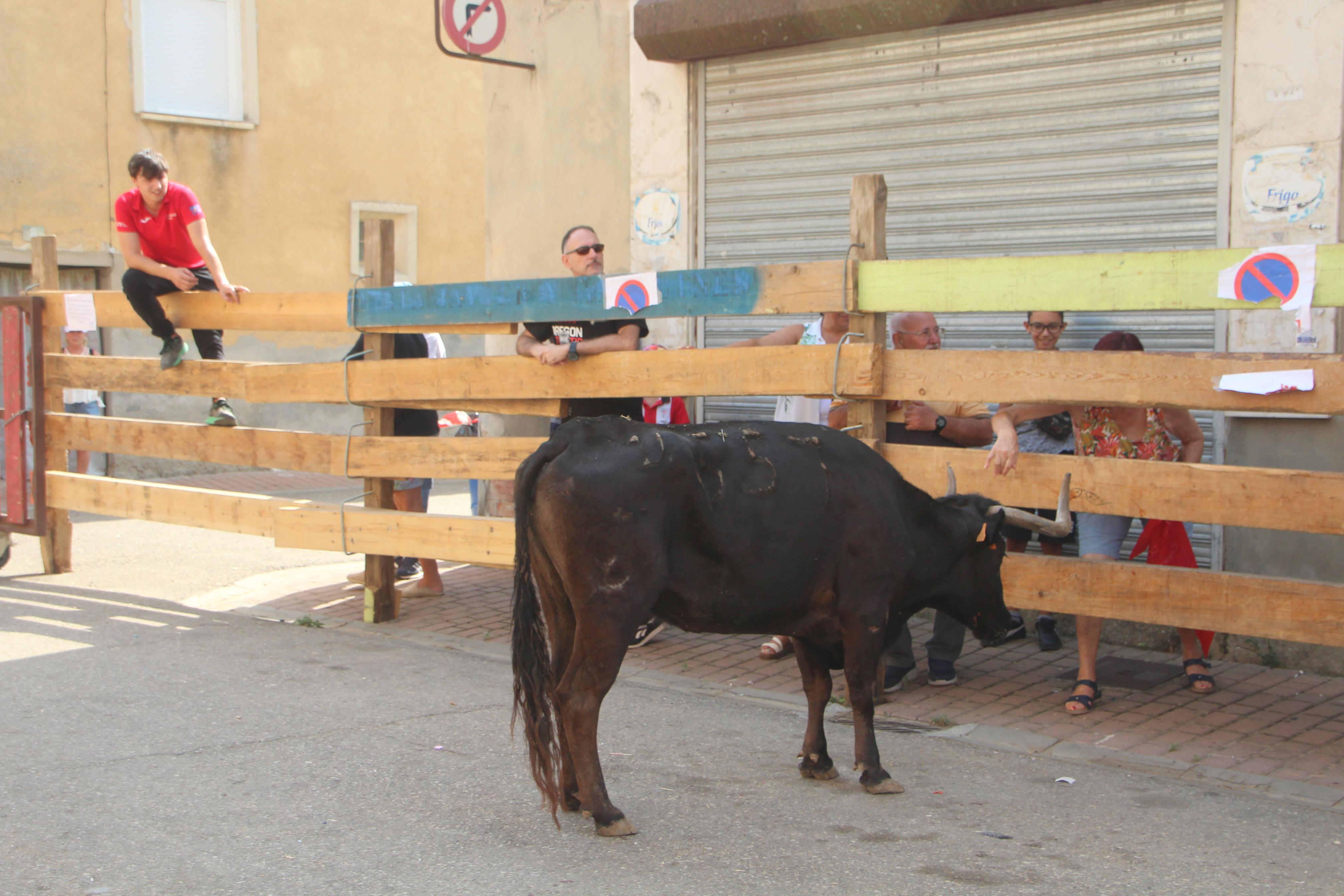 Torquemada disfruta de los Encierros