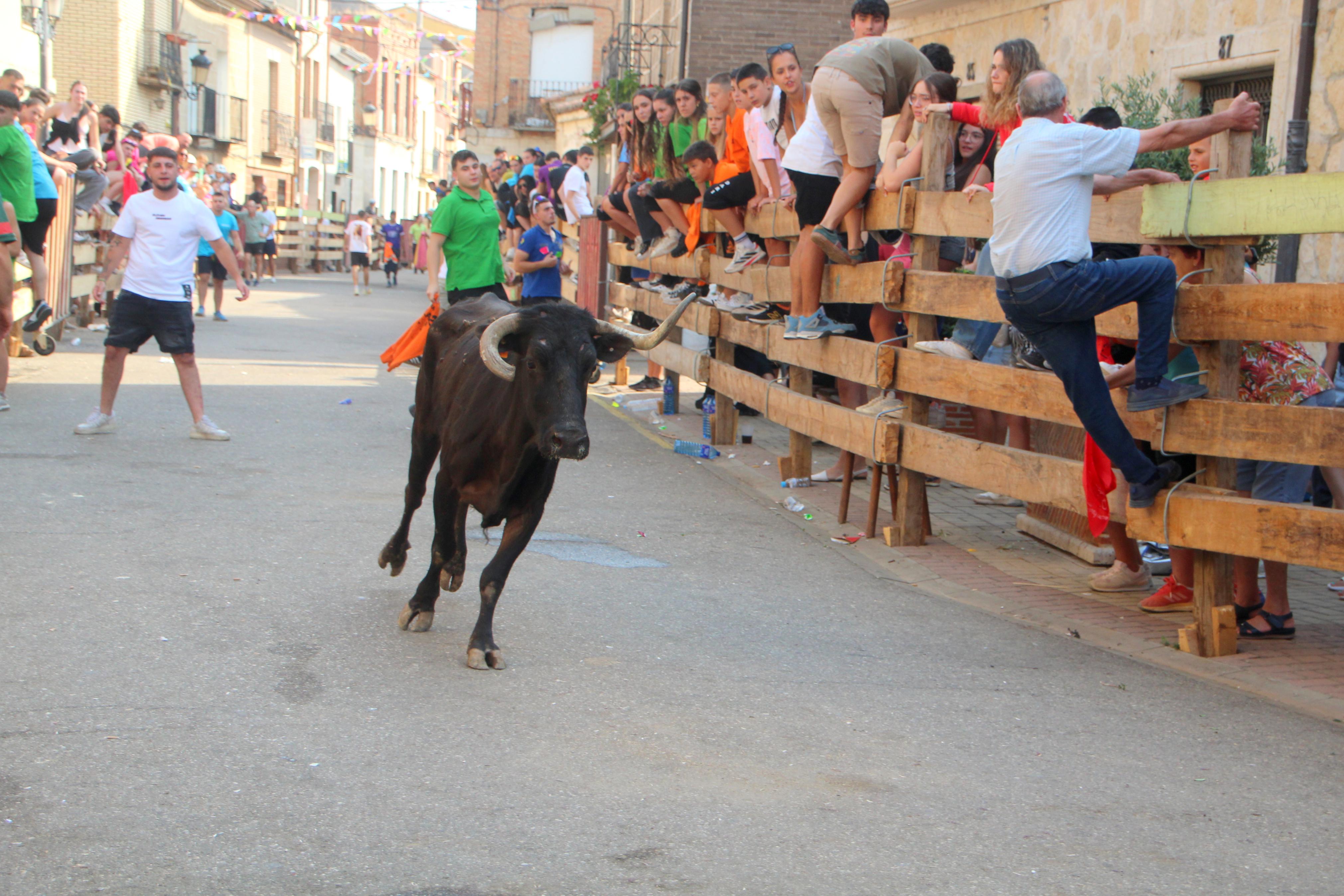Torquemada disfruta de los Encierros