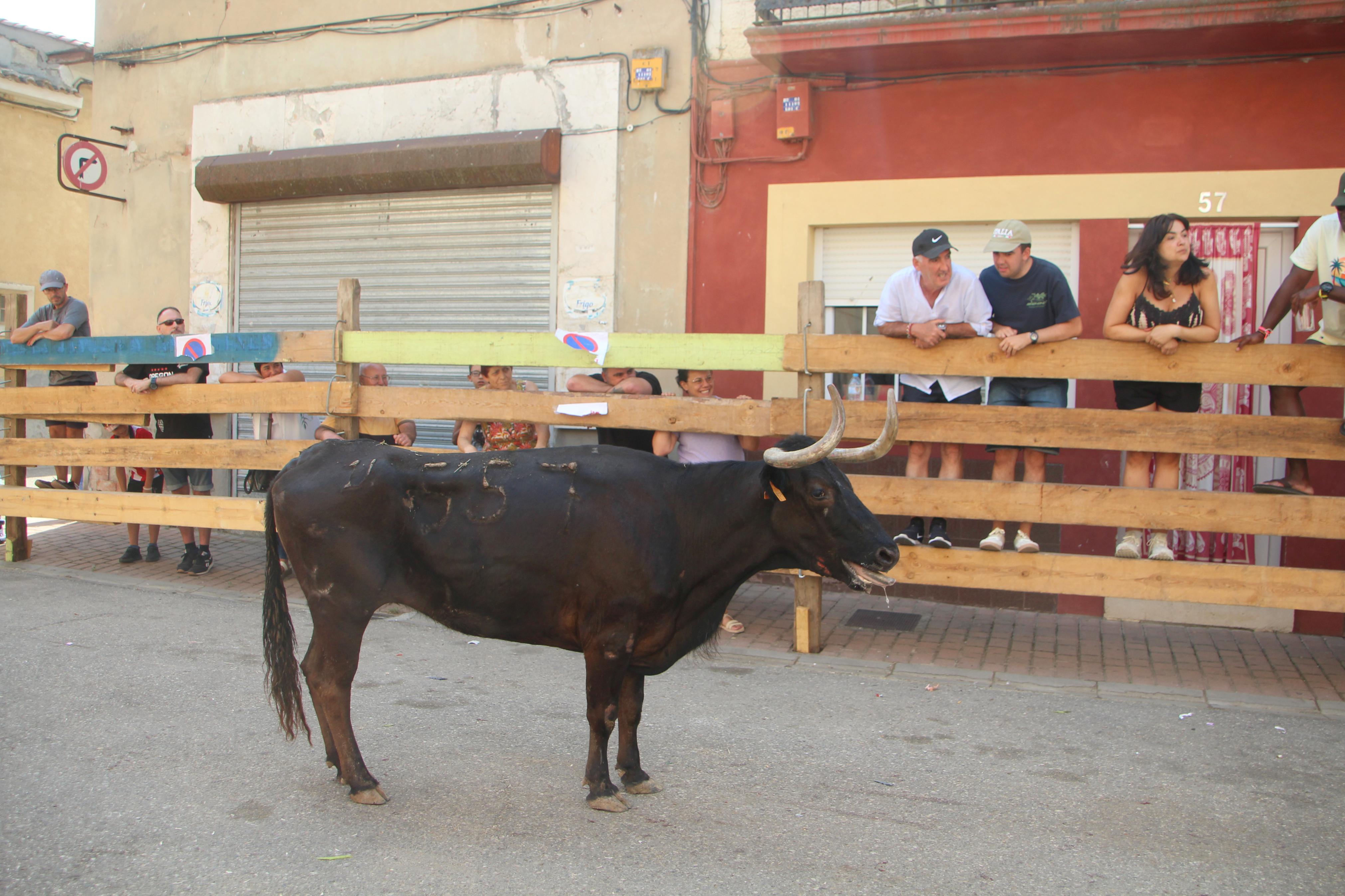 Torquemada disfruta de los Encierros