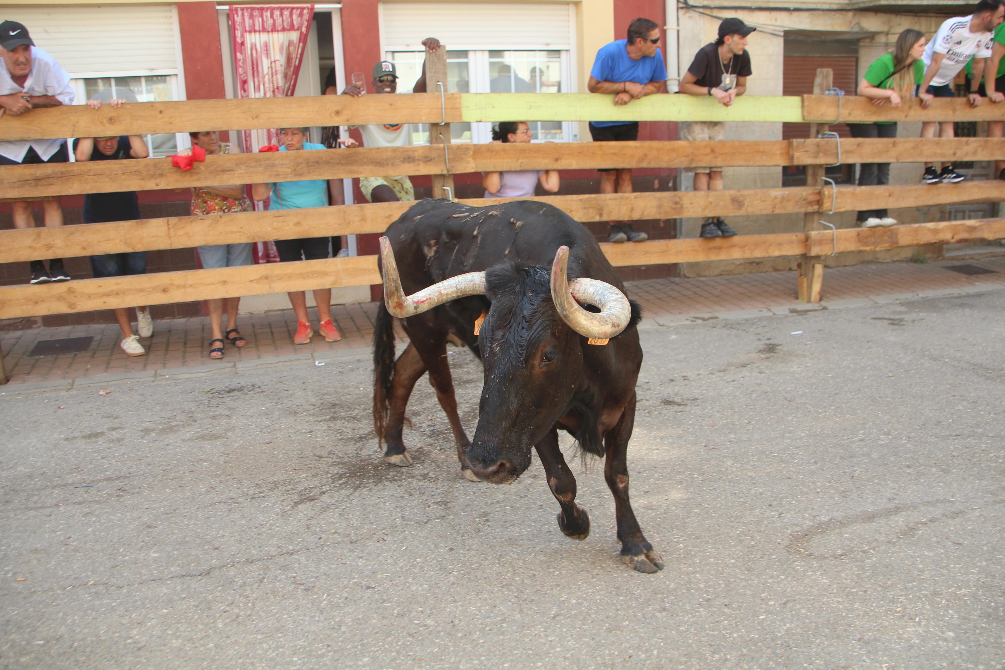 Torquemada disfruta de los Encierros