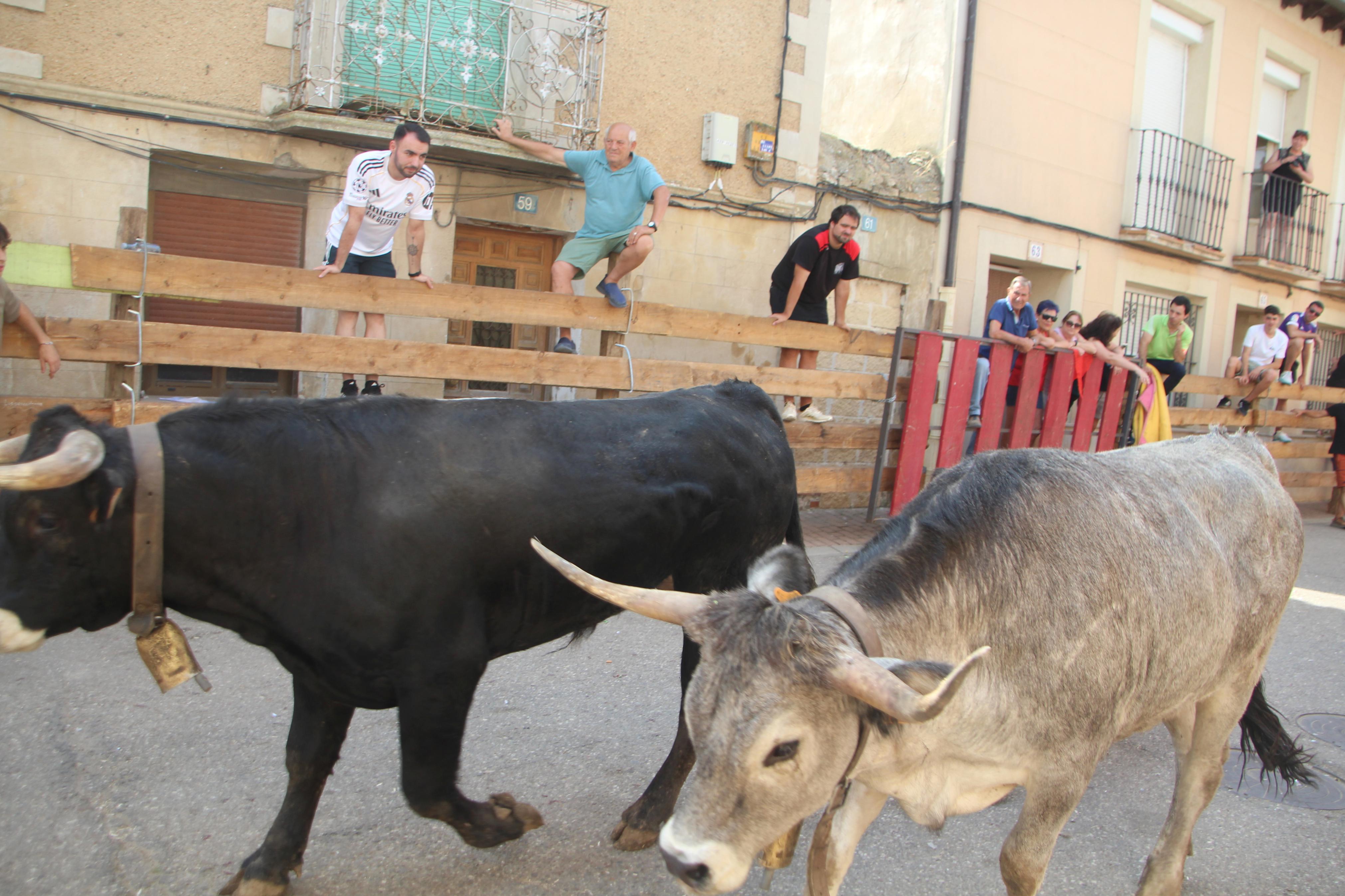 Torquemada disfruta de los Encierros
