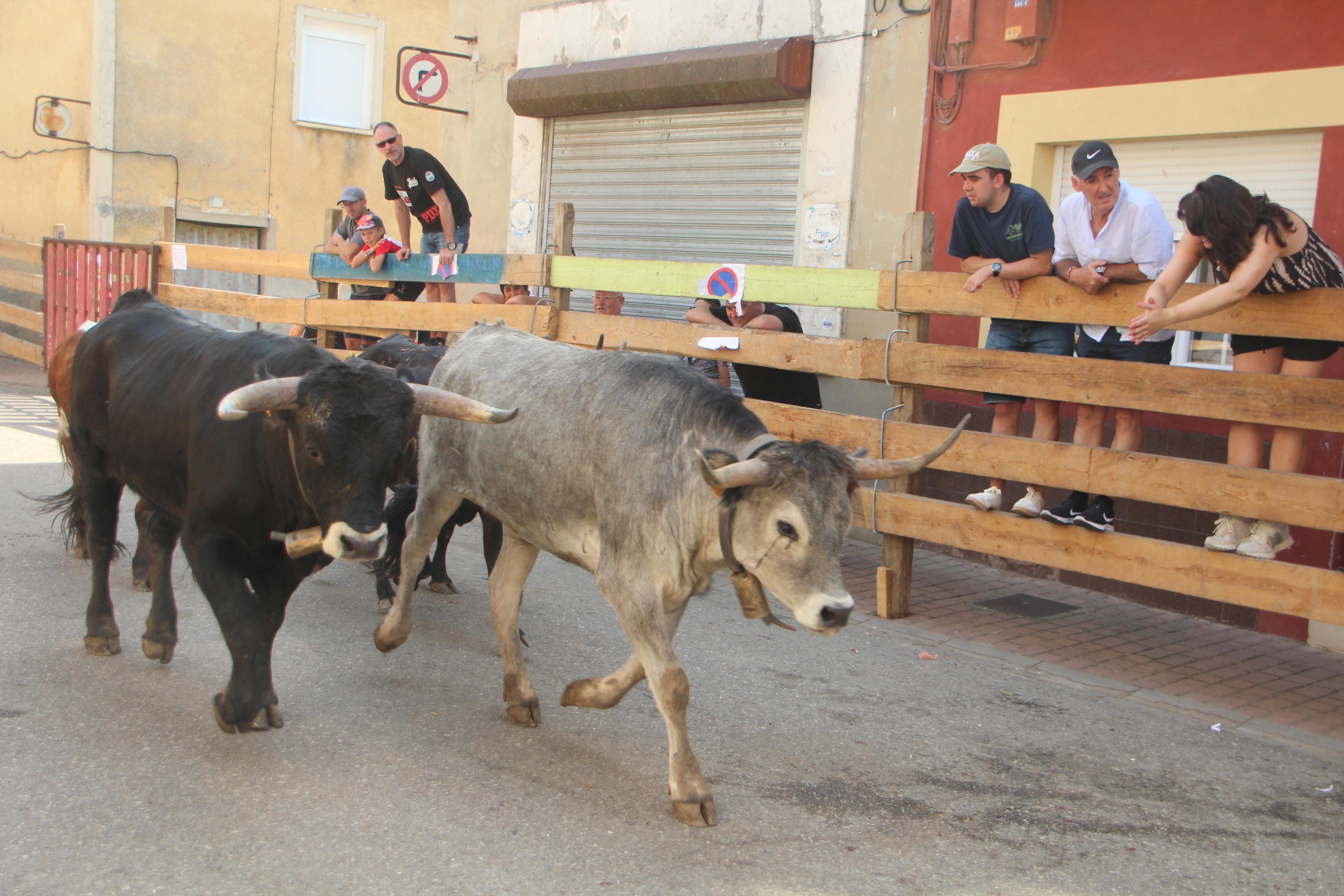 Torquemada disfruta de los Encierros