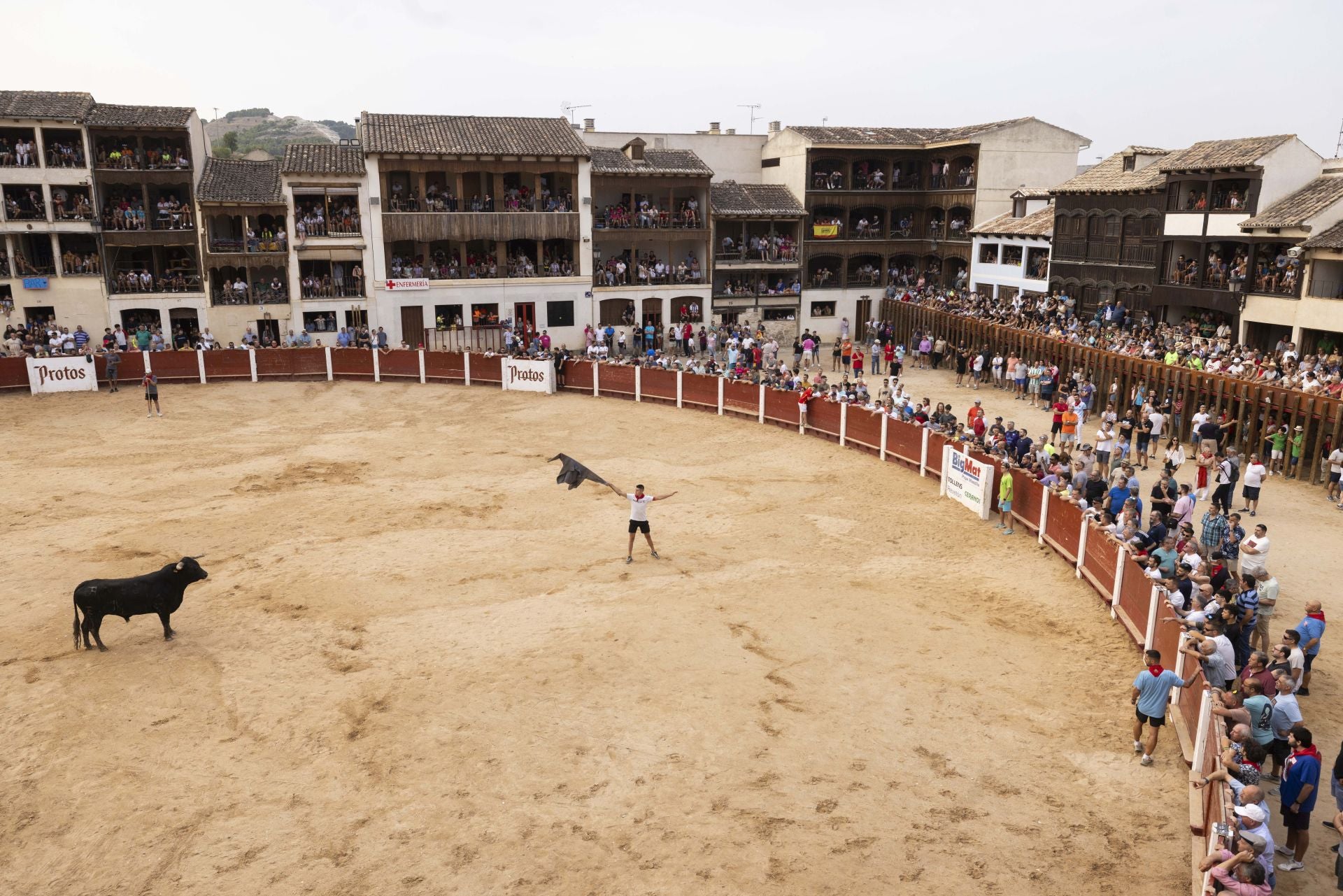 Encierro y capea del domingo en las fiestas de Peñafiel