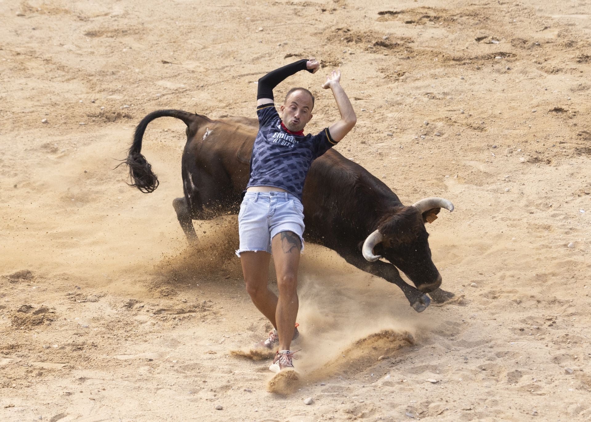 Encierro y capea del domingo en las fiestas de Peñafiel