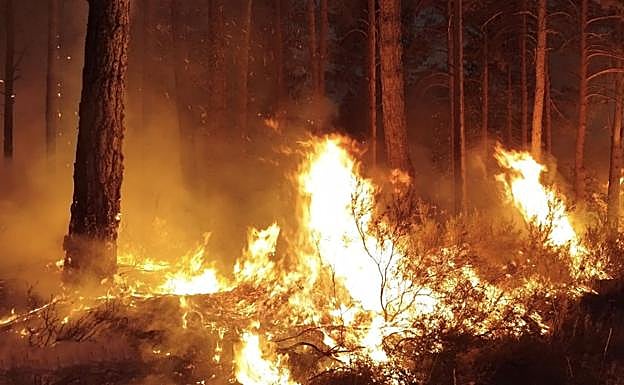 Las llamas, en el incendio de Riocamba, en la noche de este sábado.