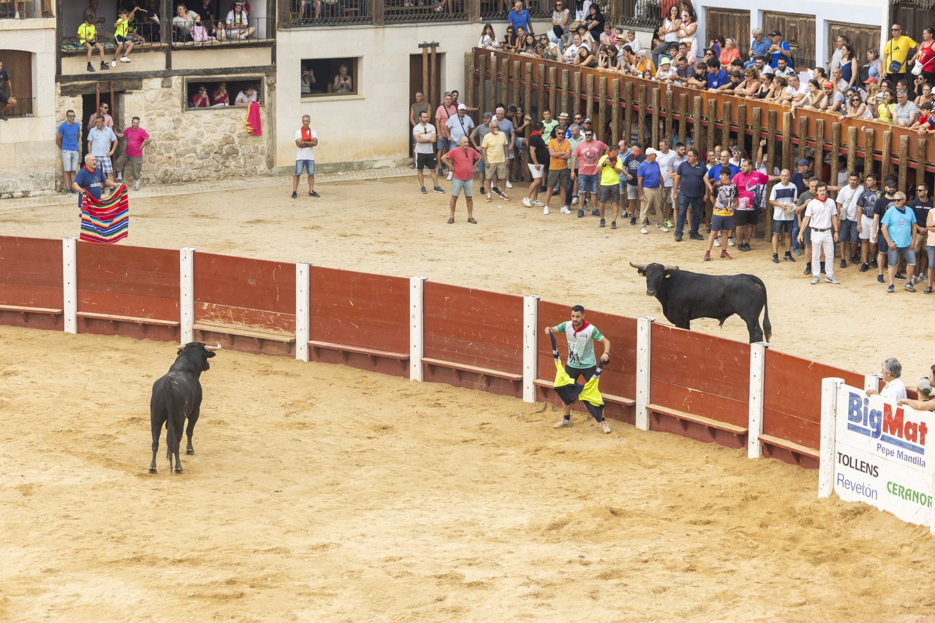 El último encierro de Peñafiel, en imágenes