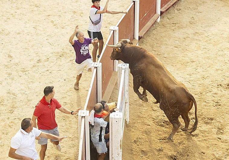El cuarto encierro de las fiestas de Peñafiel