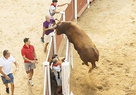 El último encierro de Peñafiel, en imágenes