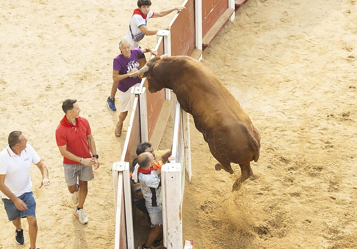 El último encierro de Peñafiel, en imágenes