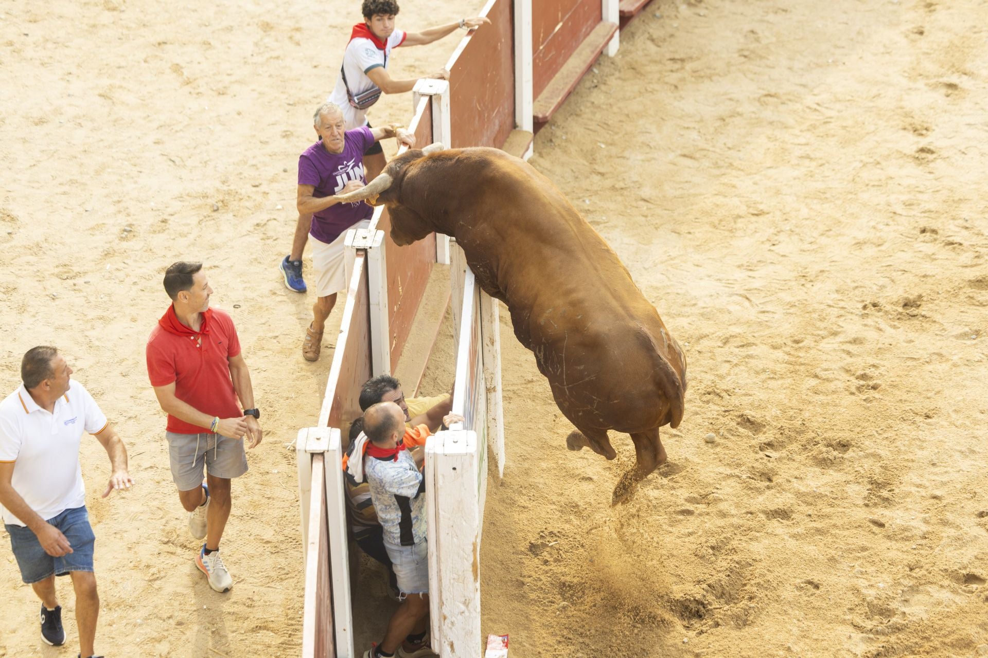 El último encierro de Peñafiel, en imágenes