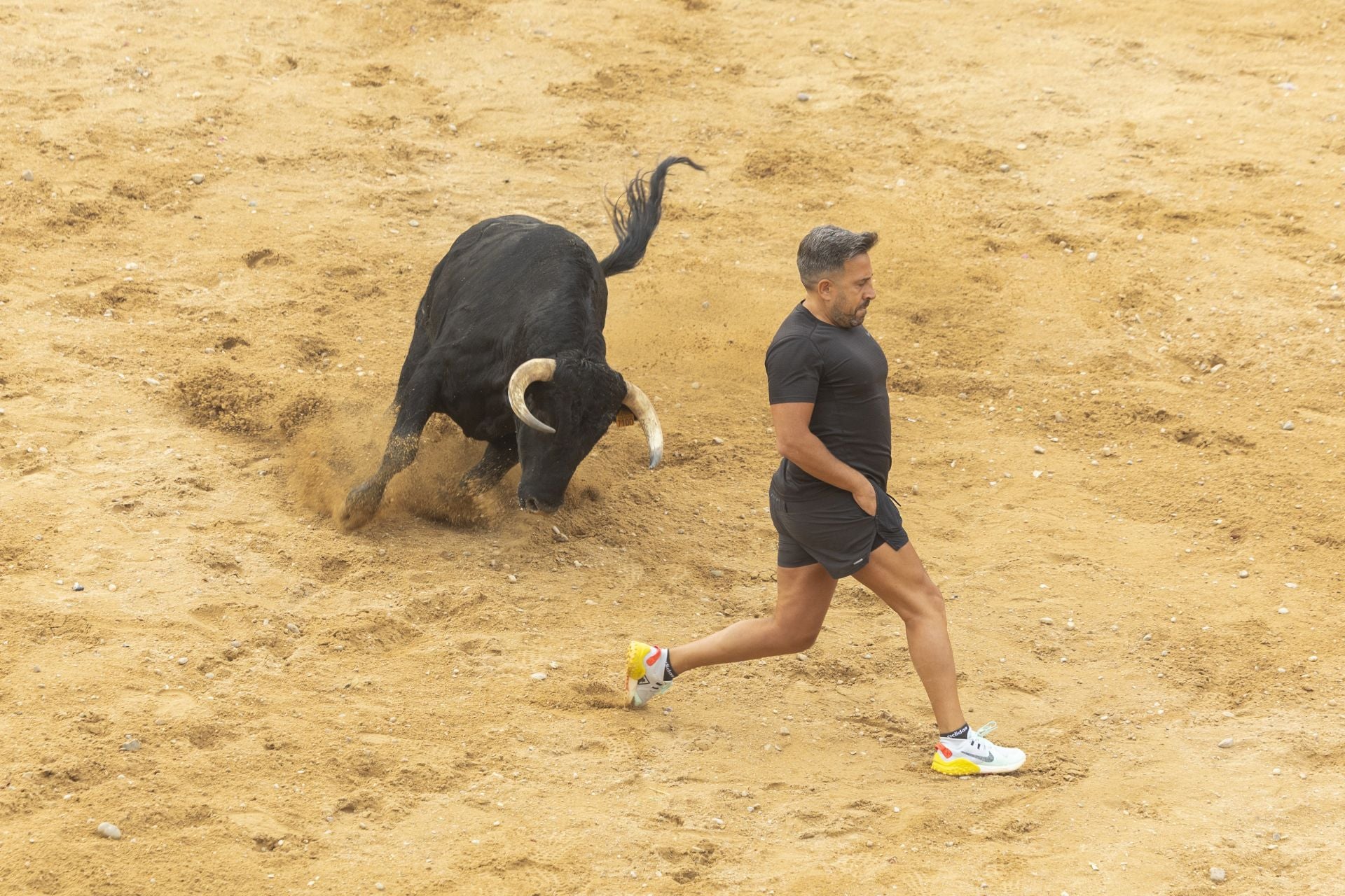 El último encierro de Peñafiel, en imágenes