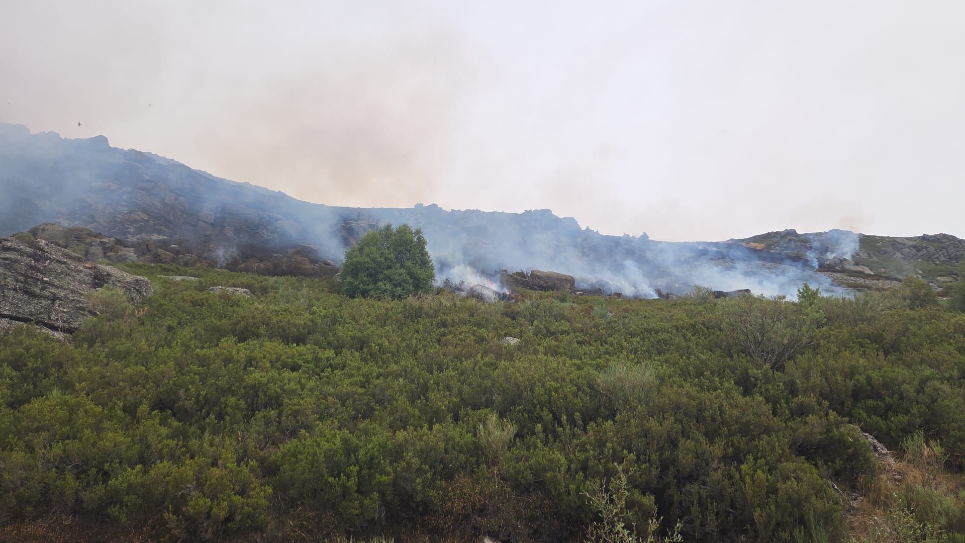 Así se ve la zona del Golobar tras el incendio por un rayo