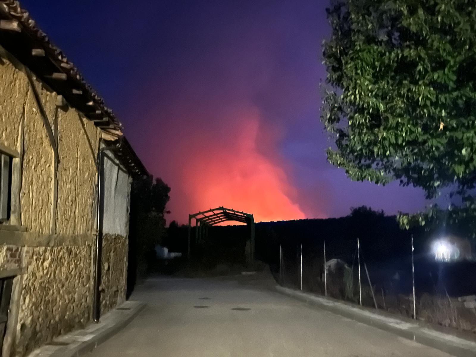 El fuego llega al pinar de Mantinos y Guardo trabaja para protegerse