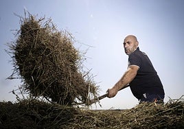Un agricultor, trabajando en el campo en una foto de archivo.