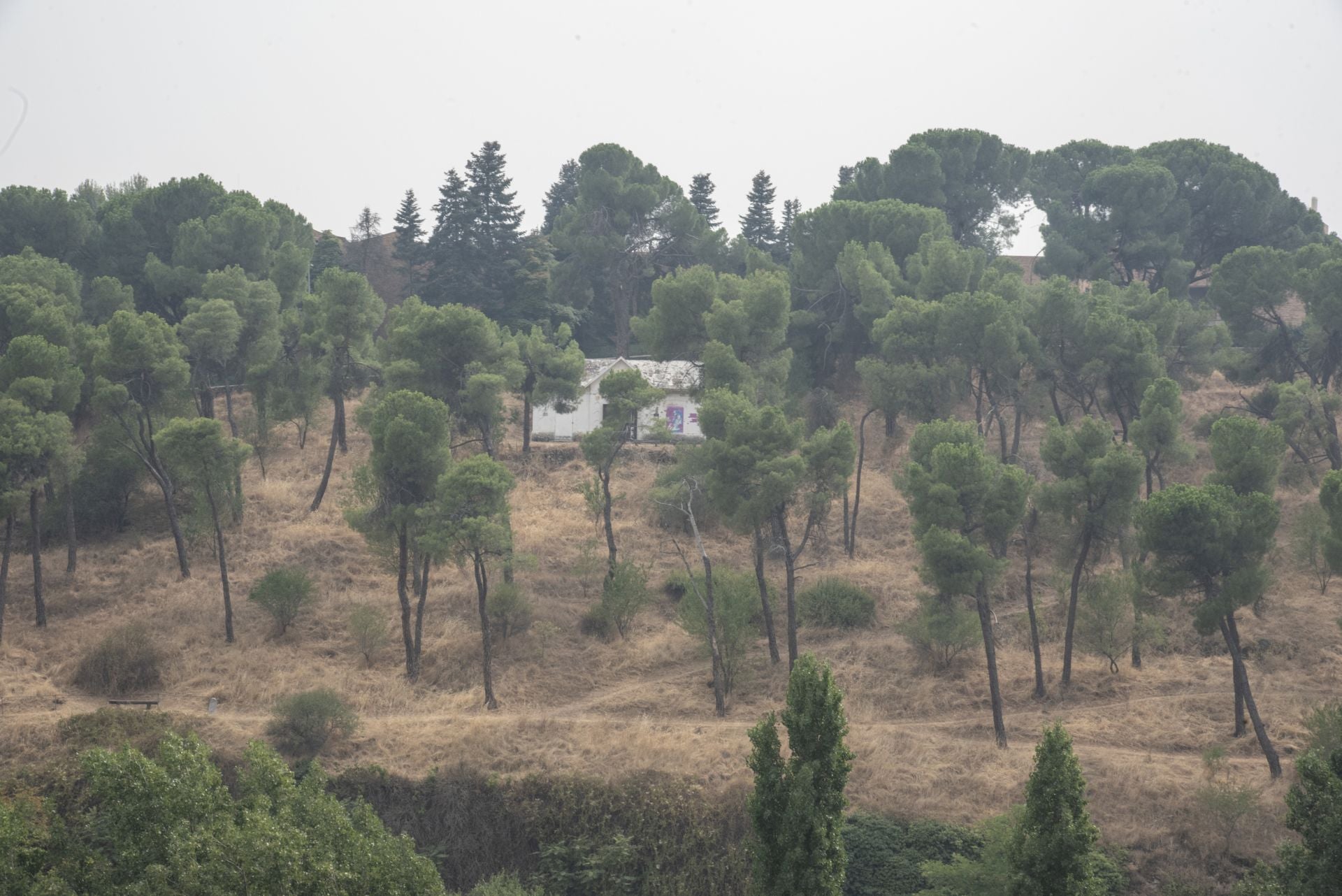 Niebla de humo en Segovia