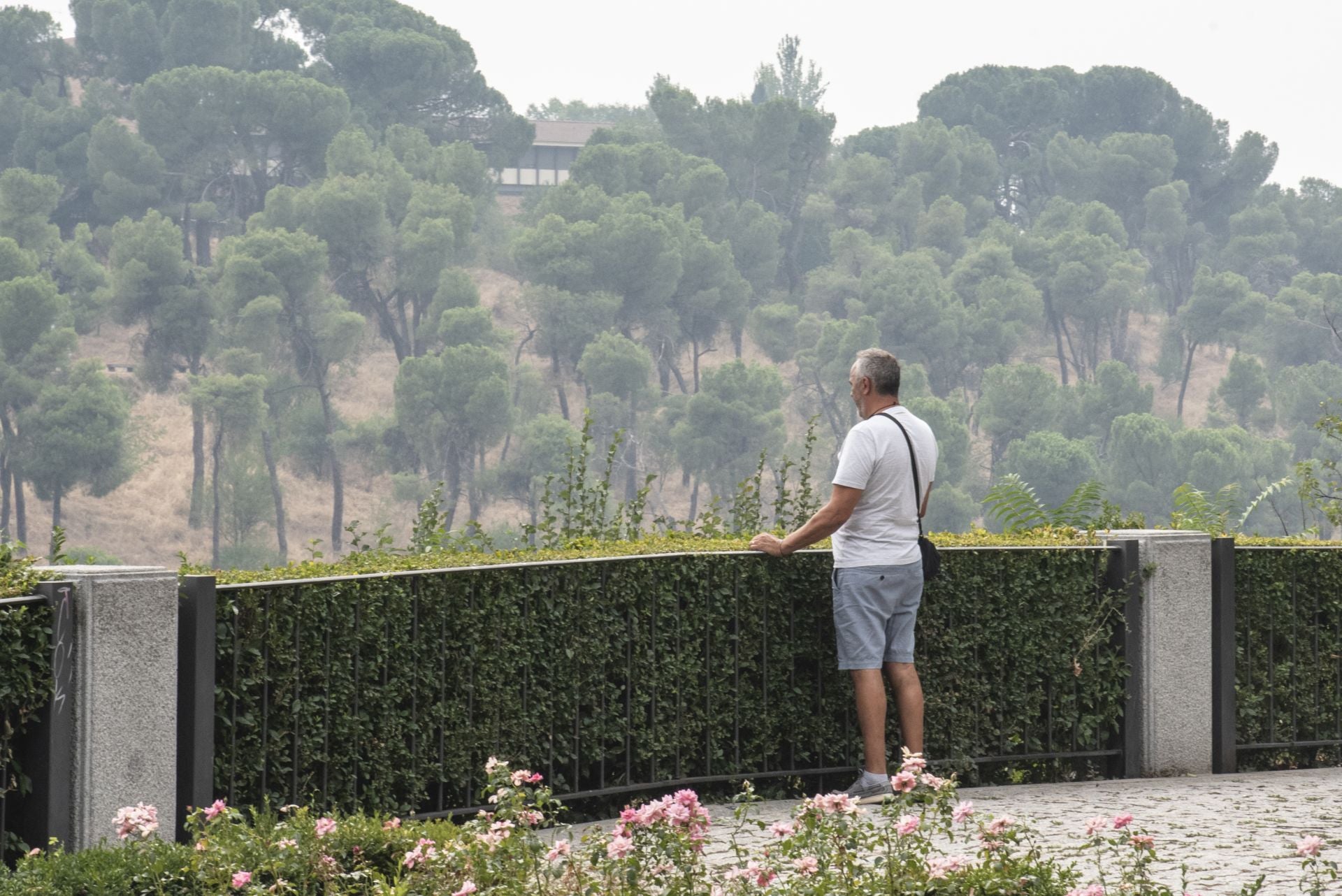 Niebla de humo en Segovia