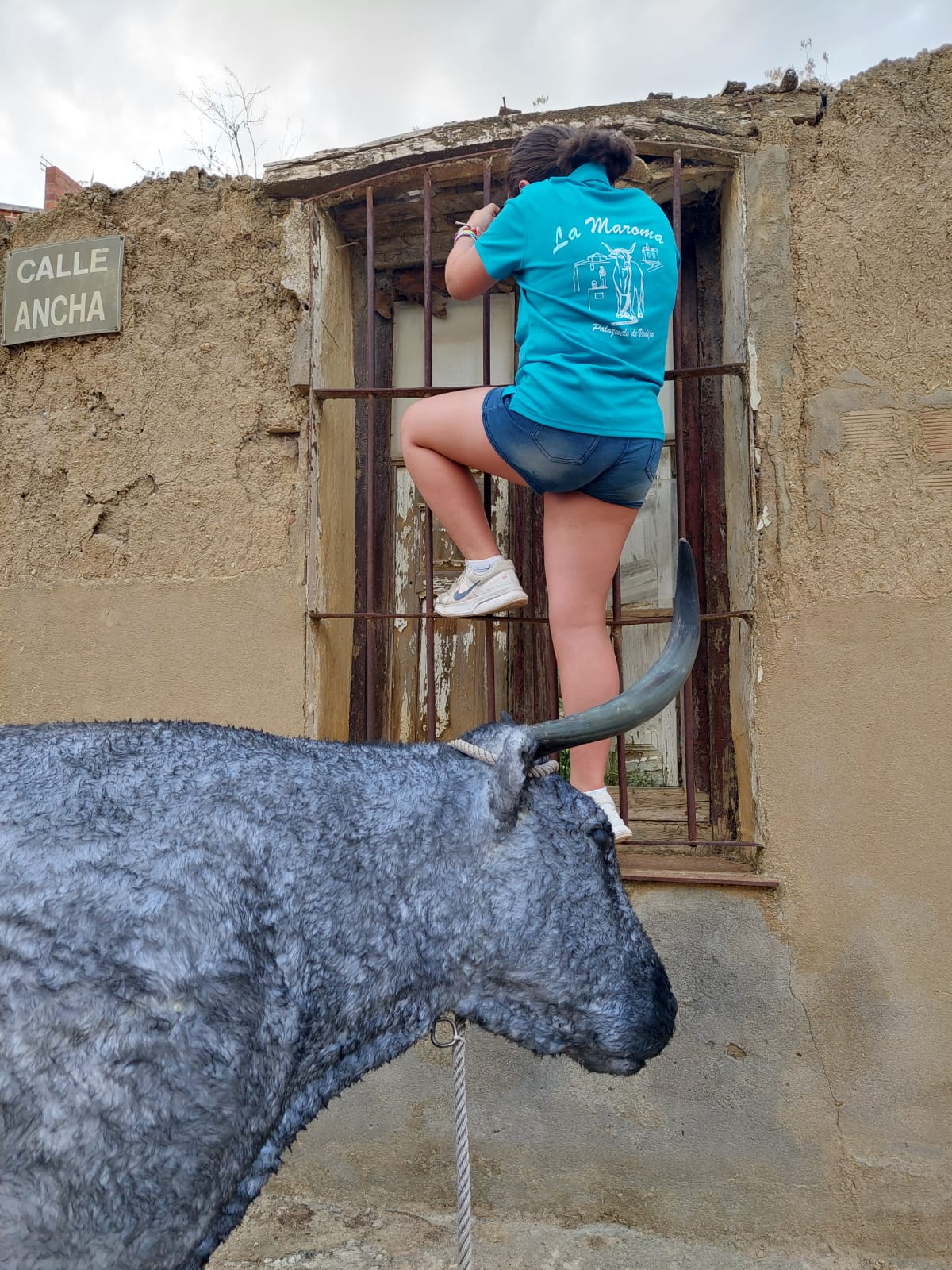 Un juego llamado vaca enmaromada