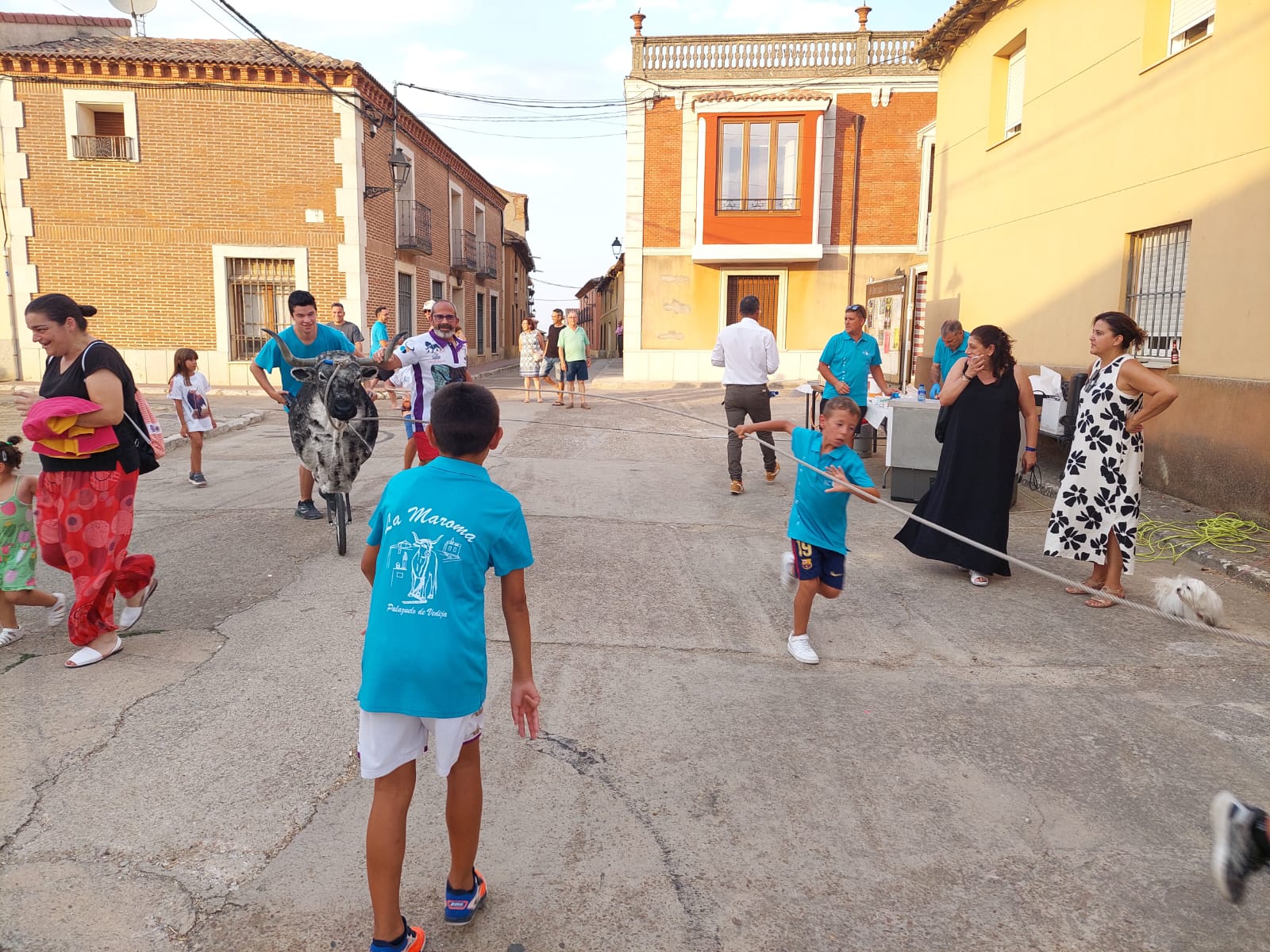 Un juego llamado vaca enmaromada