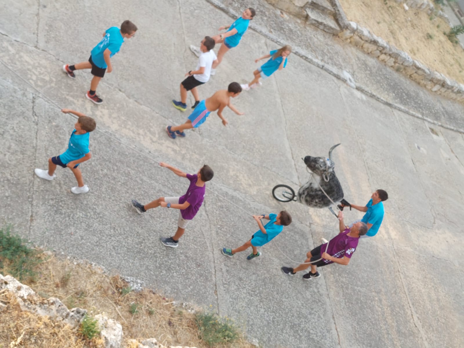 Un juego llamado vaca enmaromada