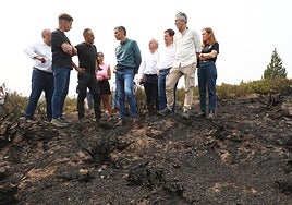 El presidente del Gobierno, Pedro Sánchez, junto al ministro del Interior y el presidente de la Junta de Castilla y León, Alfonso Fernández Mañueco, durante su visita a Villablino.