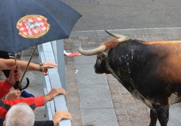 Cuéllar buscará la imagen que mejor represente a sus fiestas