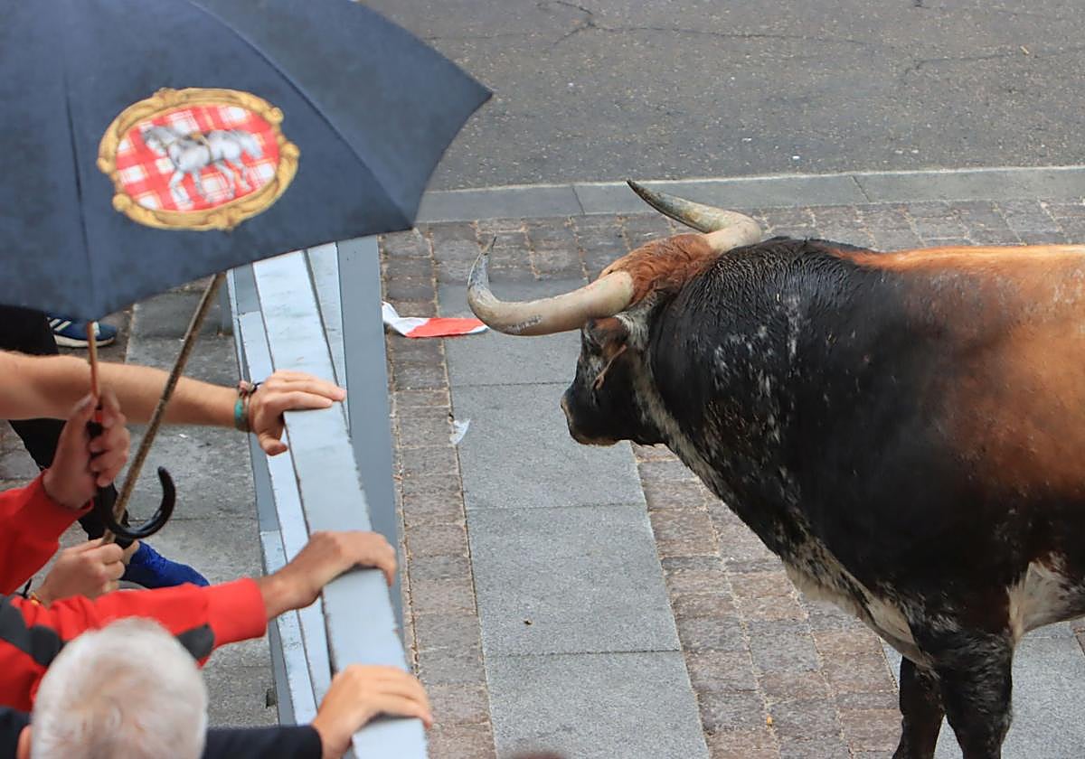 Un momento del encierro.