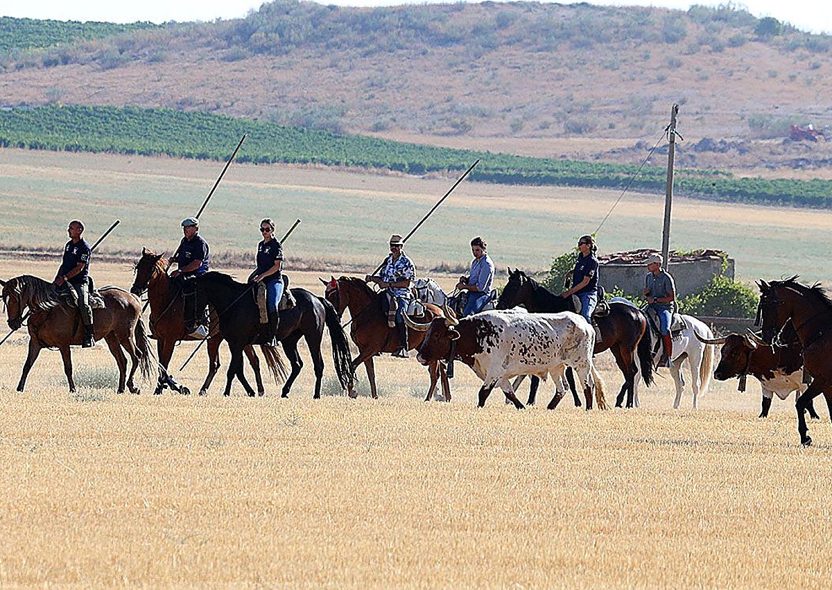 Imagen secundaria 1 - Diferentes momentos durante las fiestas de Los Novillos del pasado año.