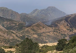 Vista del fuego en la Montaña Palentina, el pasado día 13 desde Polentinos.