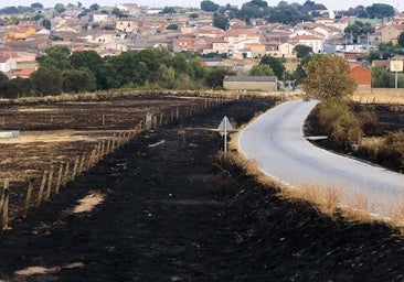 «Nadie quiere la salvación del mundo rural salvo los cuatro que vivimos aquí»