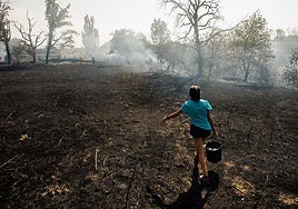 Los vecinos acudieron a sofocar el fuego a pocos metros de Morasverdes, en Salamanca.