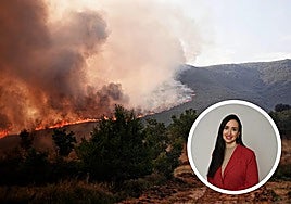 Vista del fuego en Anllarinos del Sil, León, en detalle, psicóloga clínica Belén López Moya.