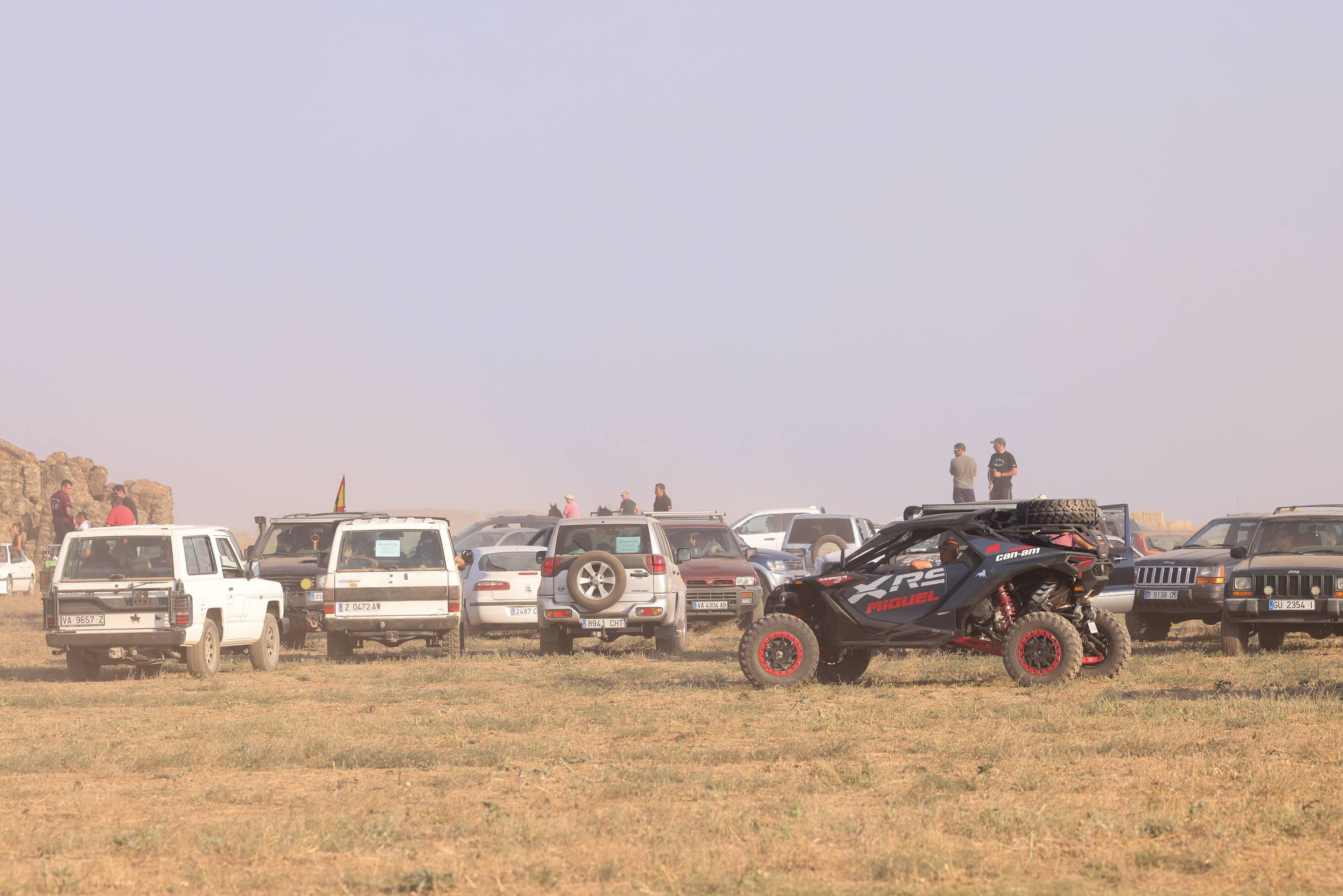 Las imágenes del encierro campero de Ciguñuela