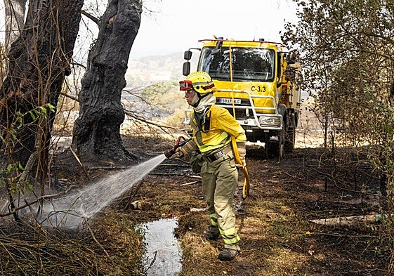 Profesionales de la Junta de Castilla y León trabajan en la extinción de un incendio durante este verano.