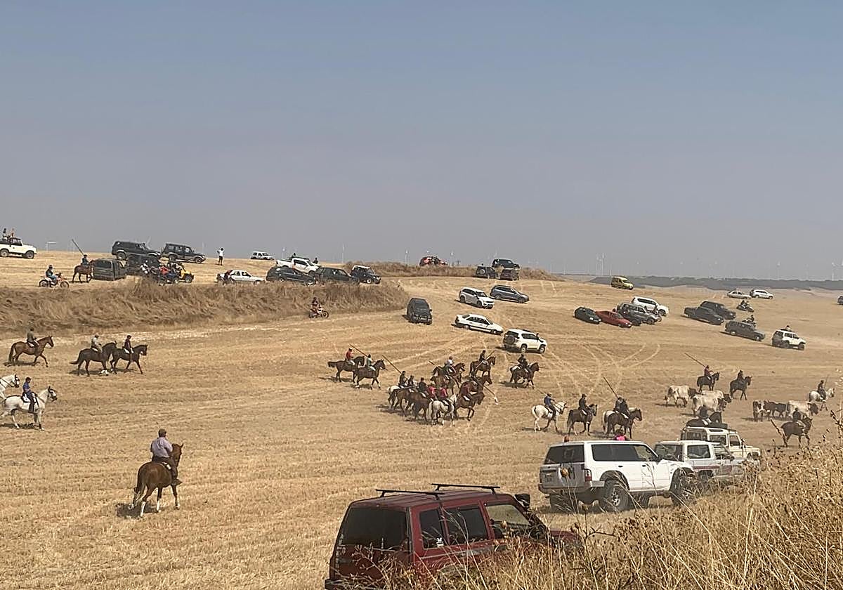 Encierro de Torrelobaton